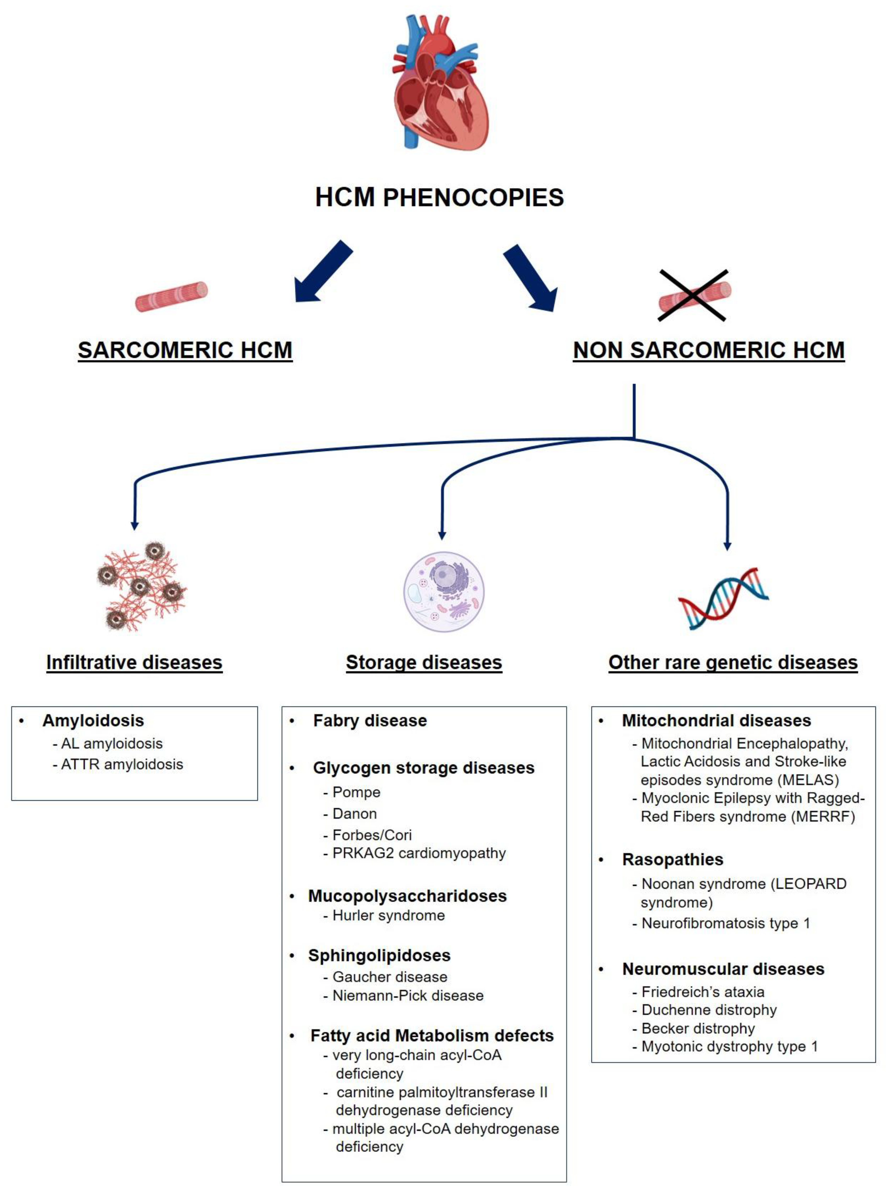 Preprints 182376 g001