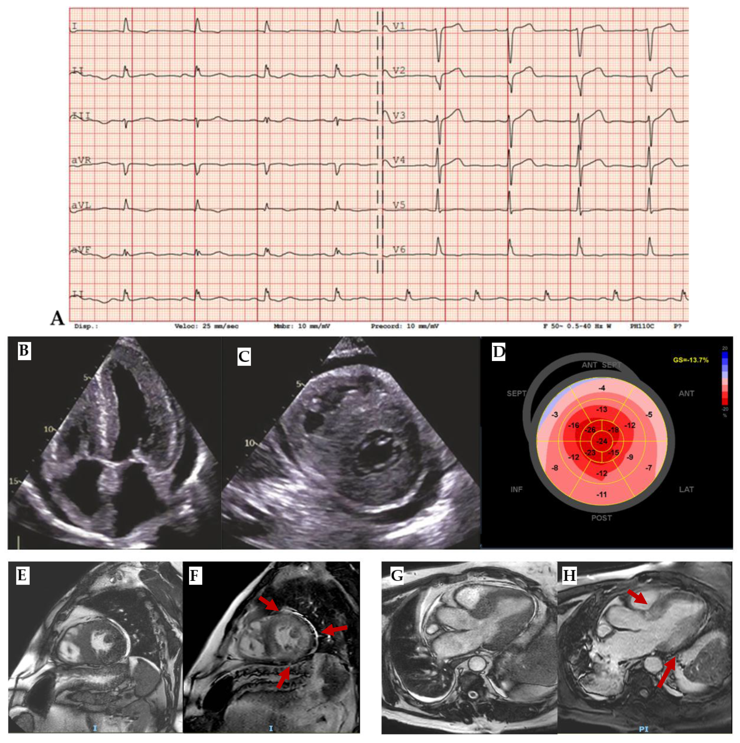 Preprints 182376 g004