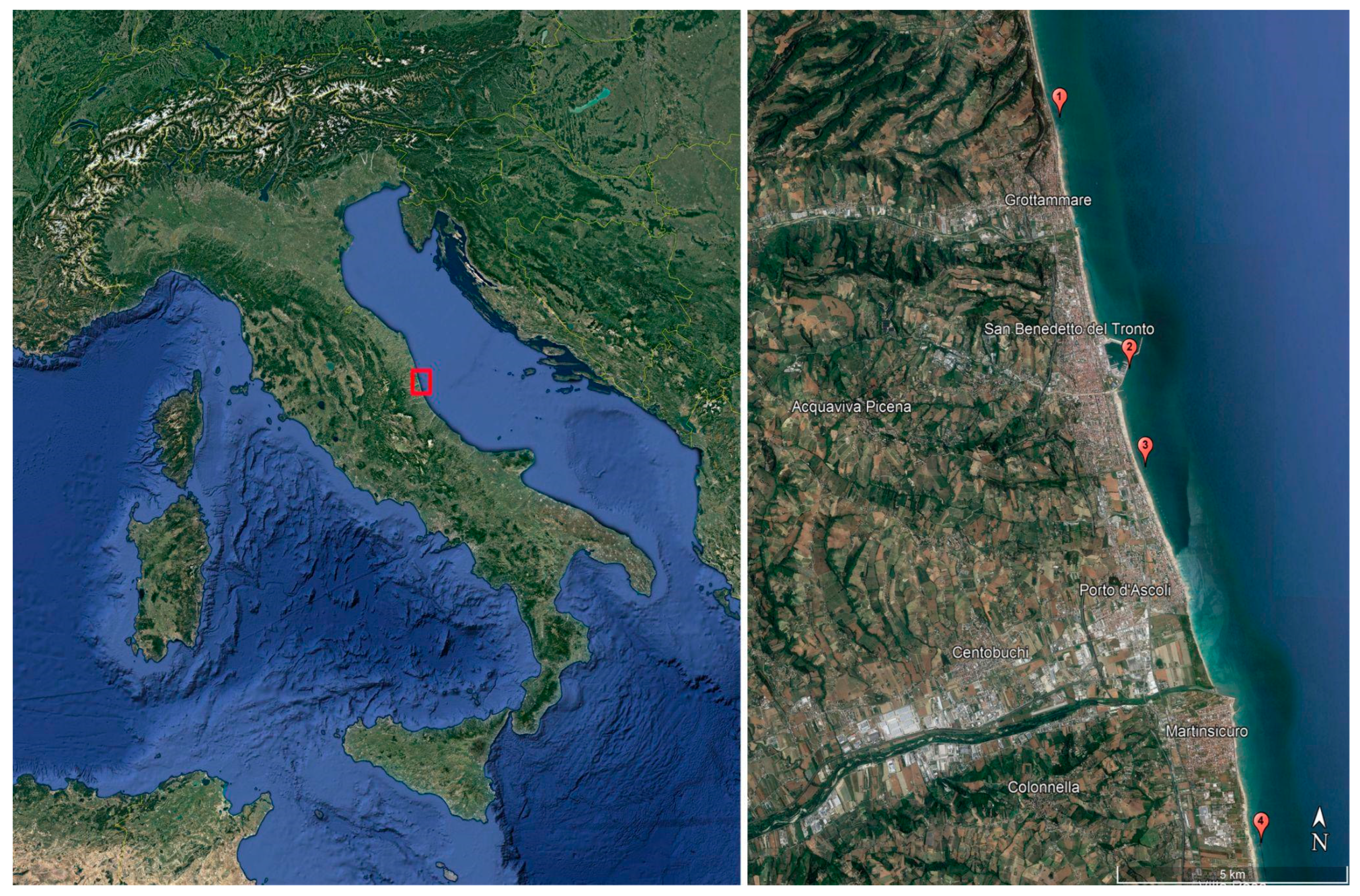 Preprints 84631 g001