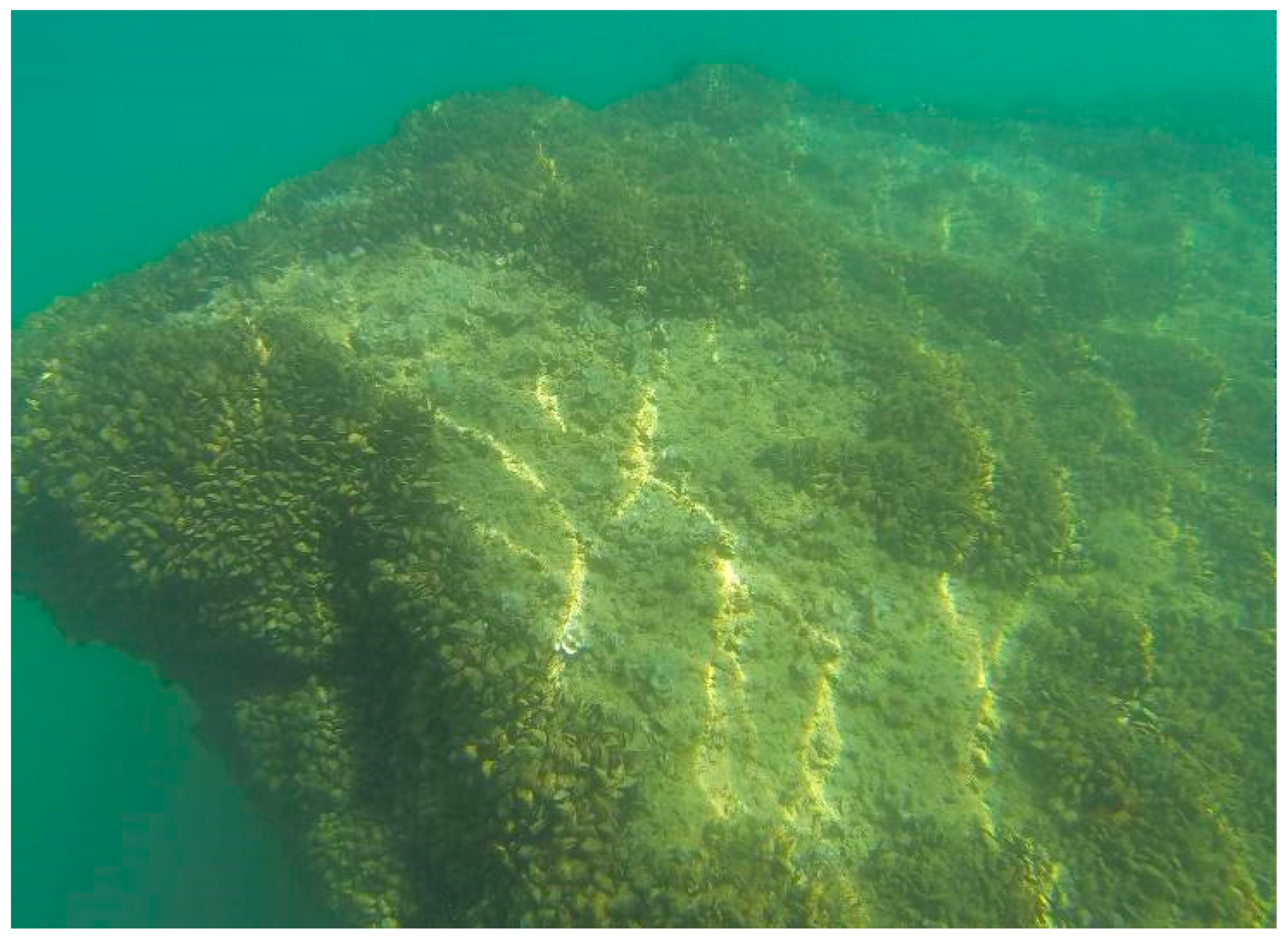 Preprints 84631 g005