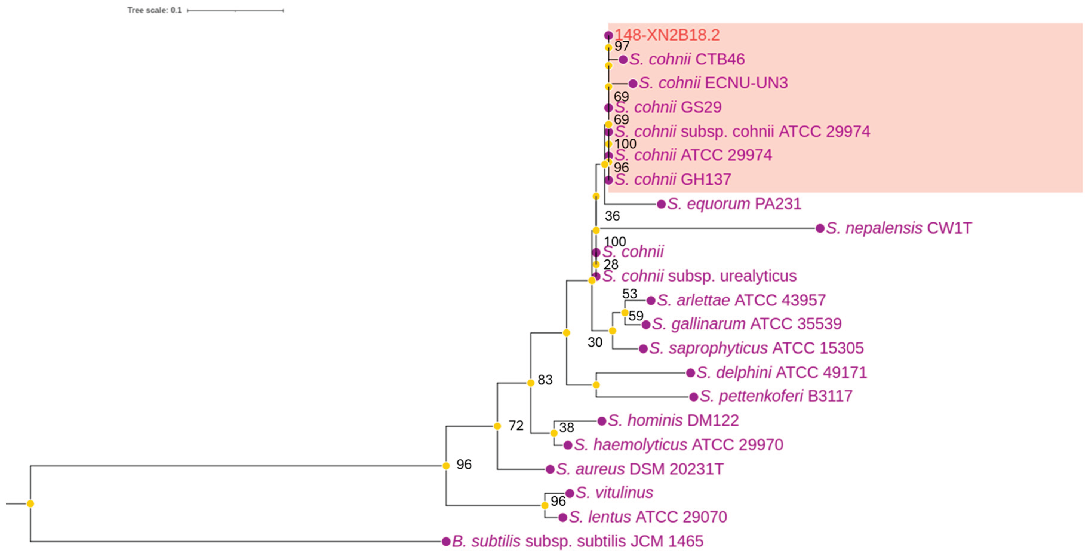 Preprints 192288 g001
