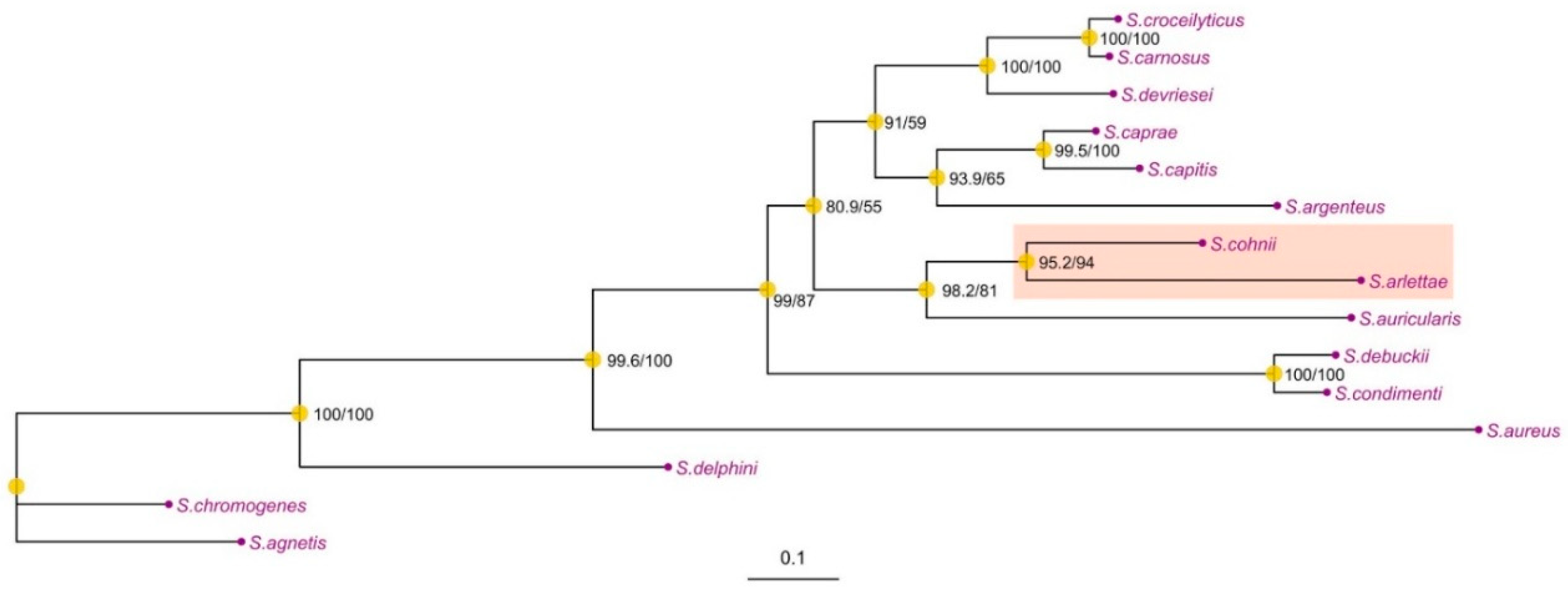 Preprints 192288 g004