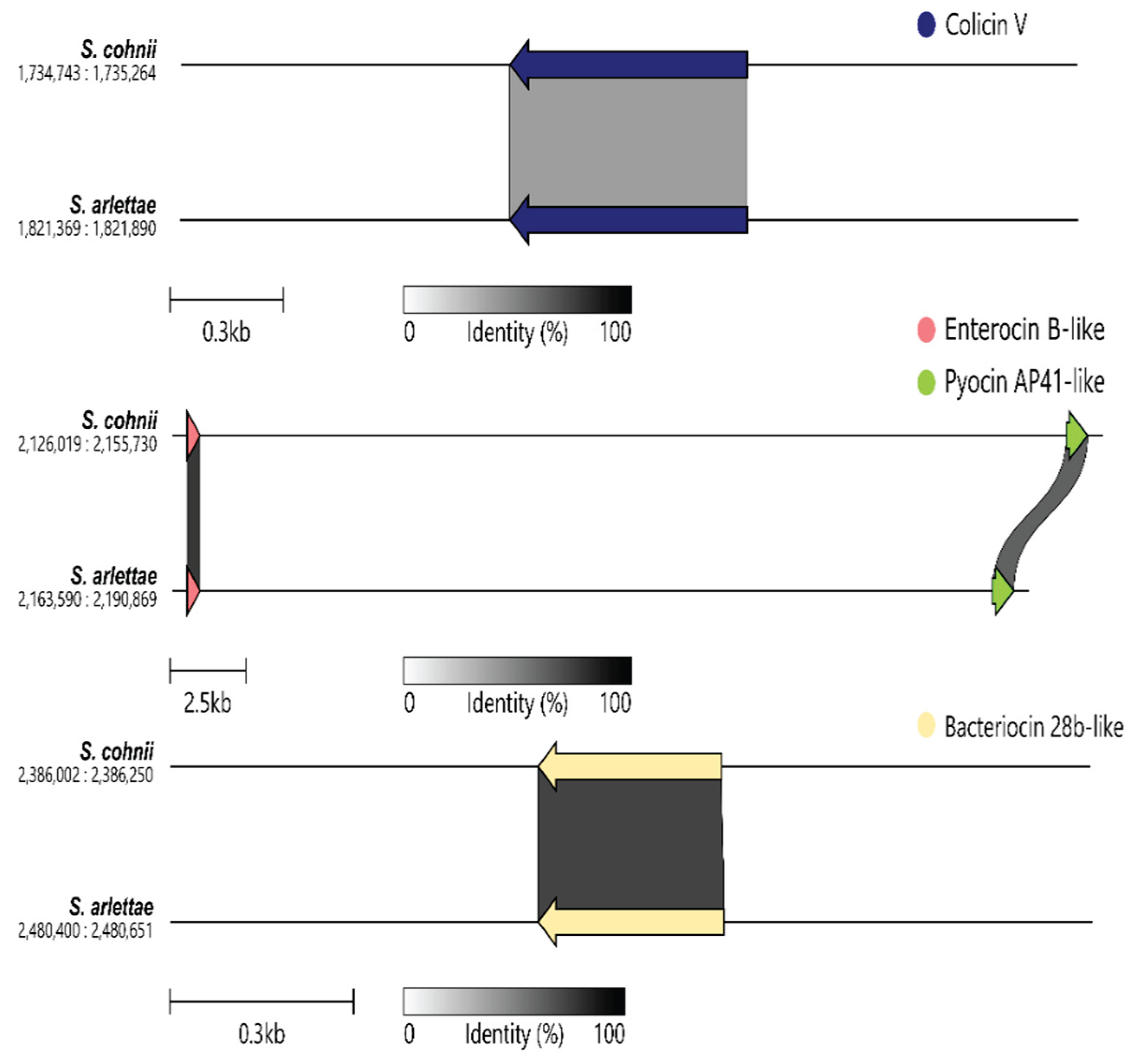Preprints 192288 g005