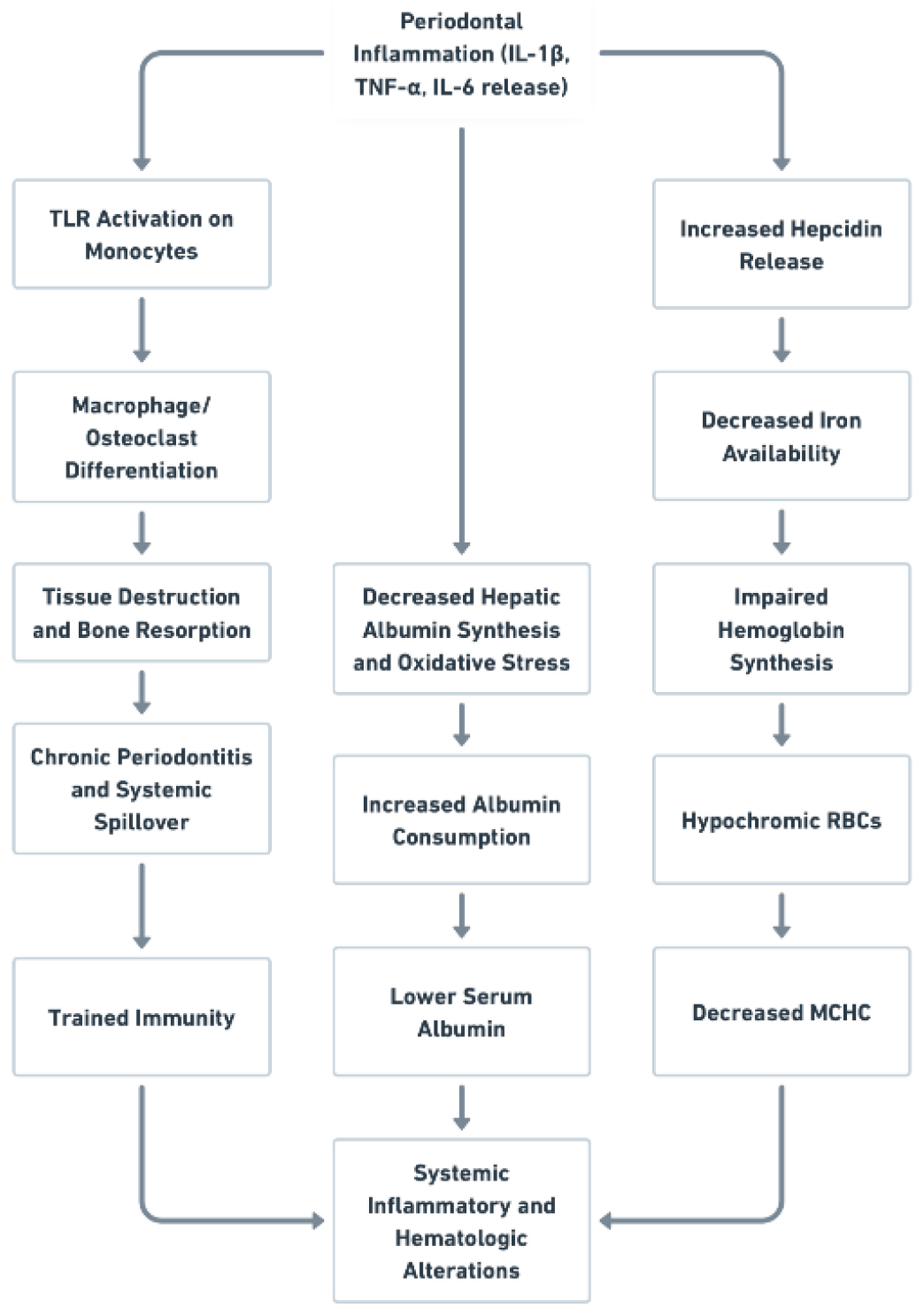 Preprints 181340 g001