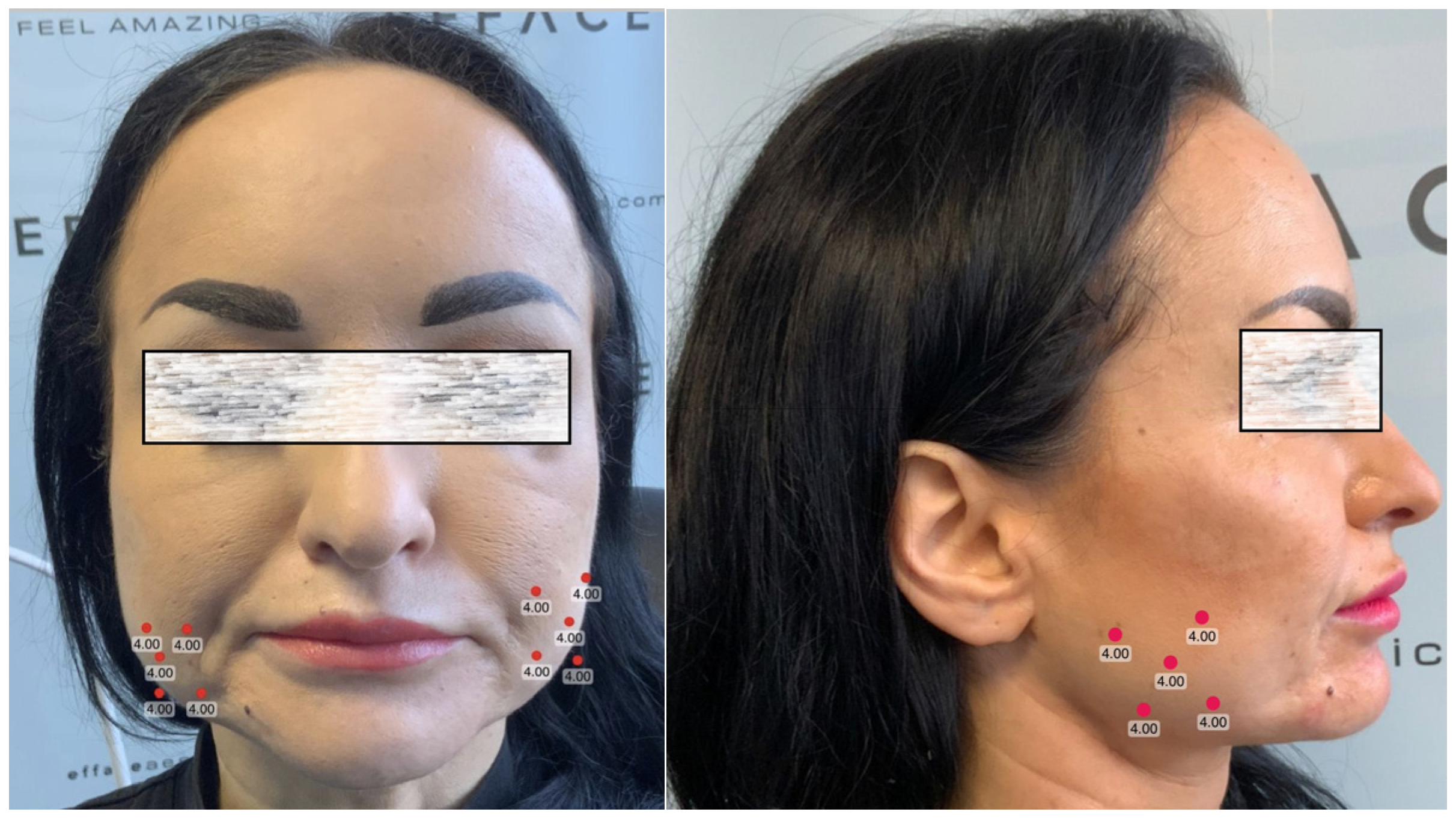 Preprints 116425 g003