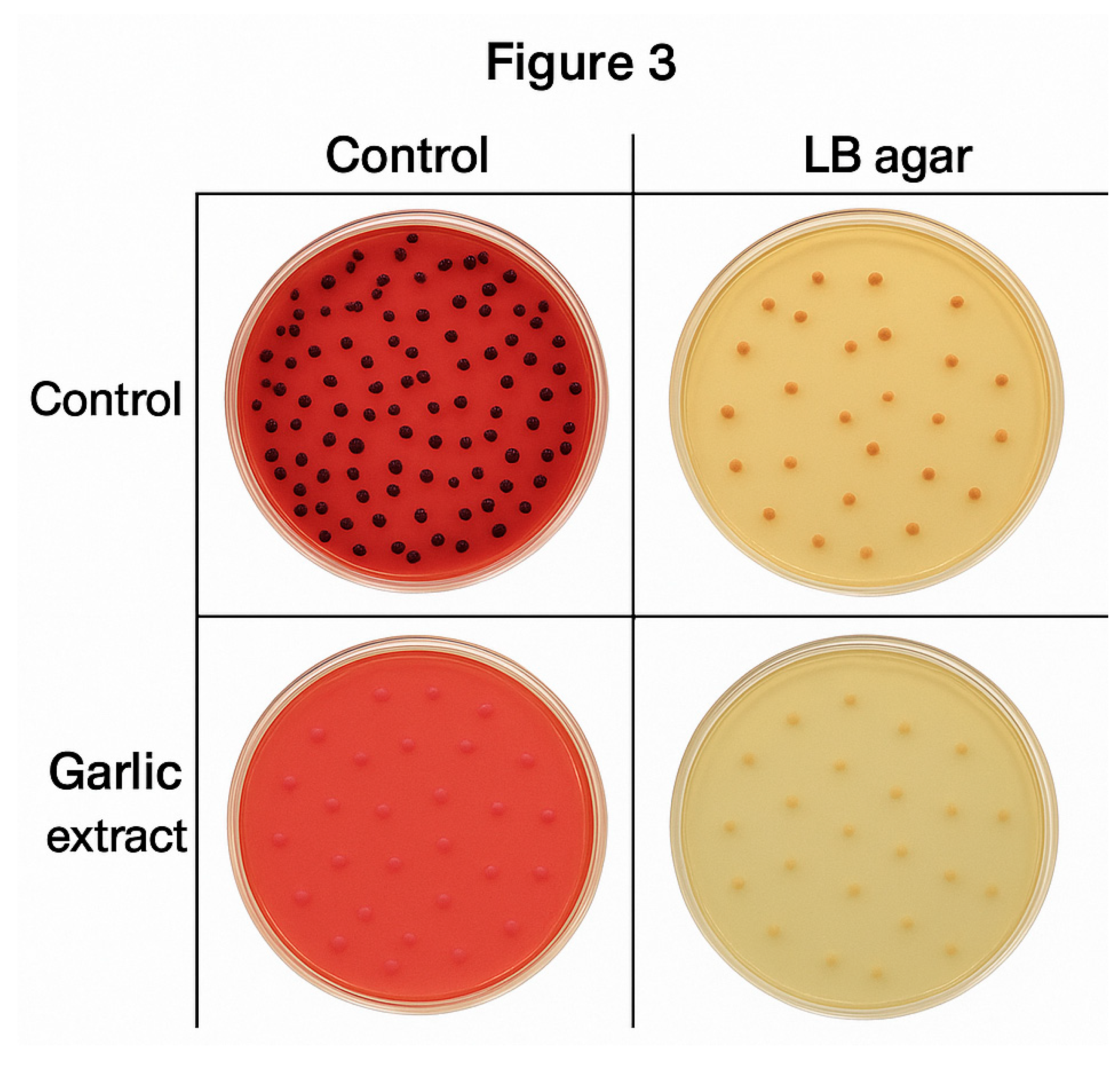 Preprints 173382 g004