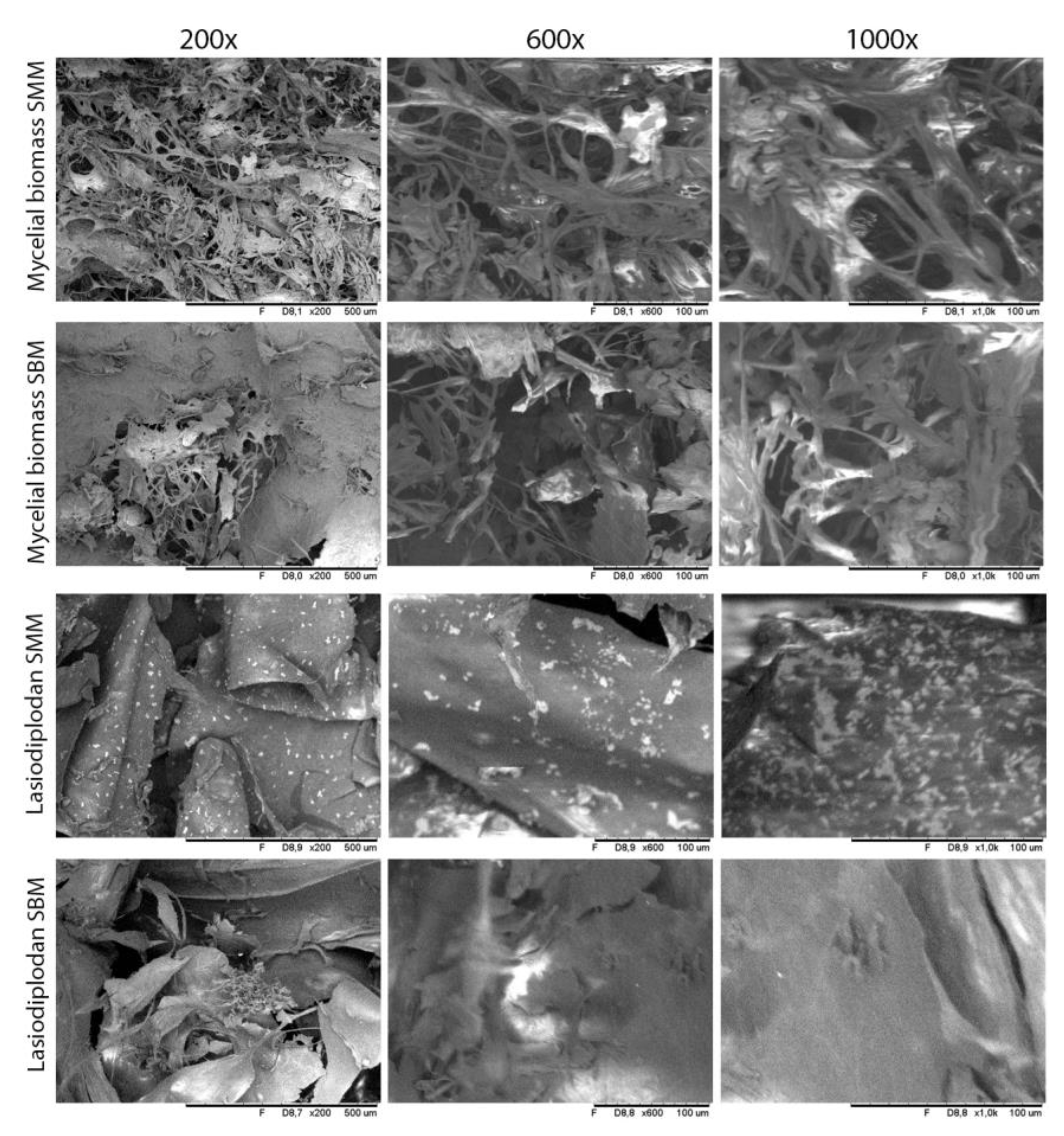 Preprints 150687 g005