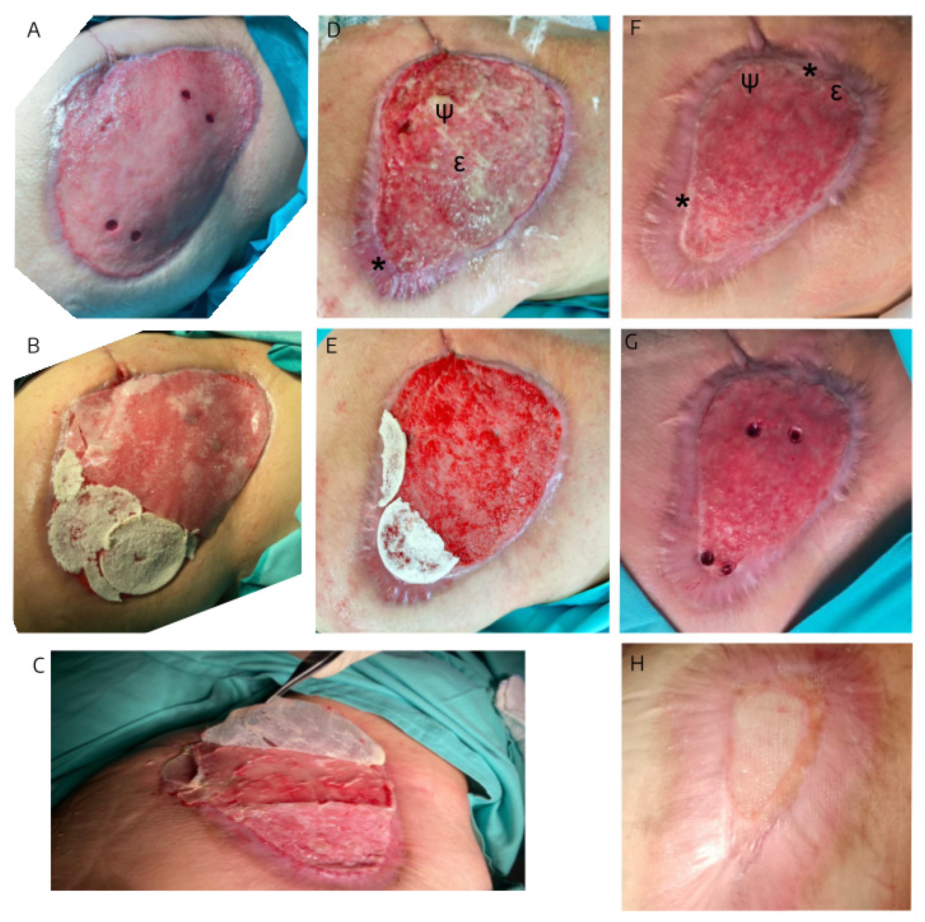 Preprints 155649 g001