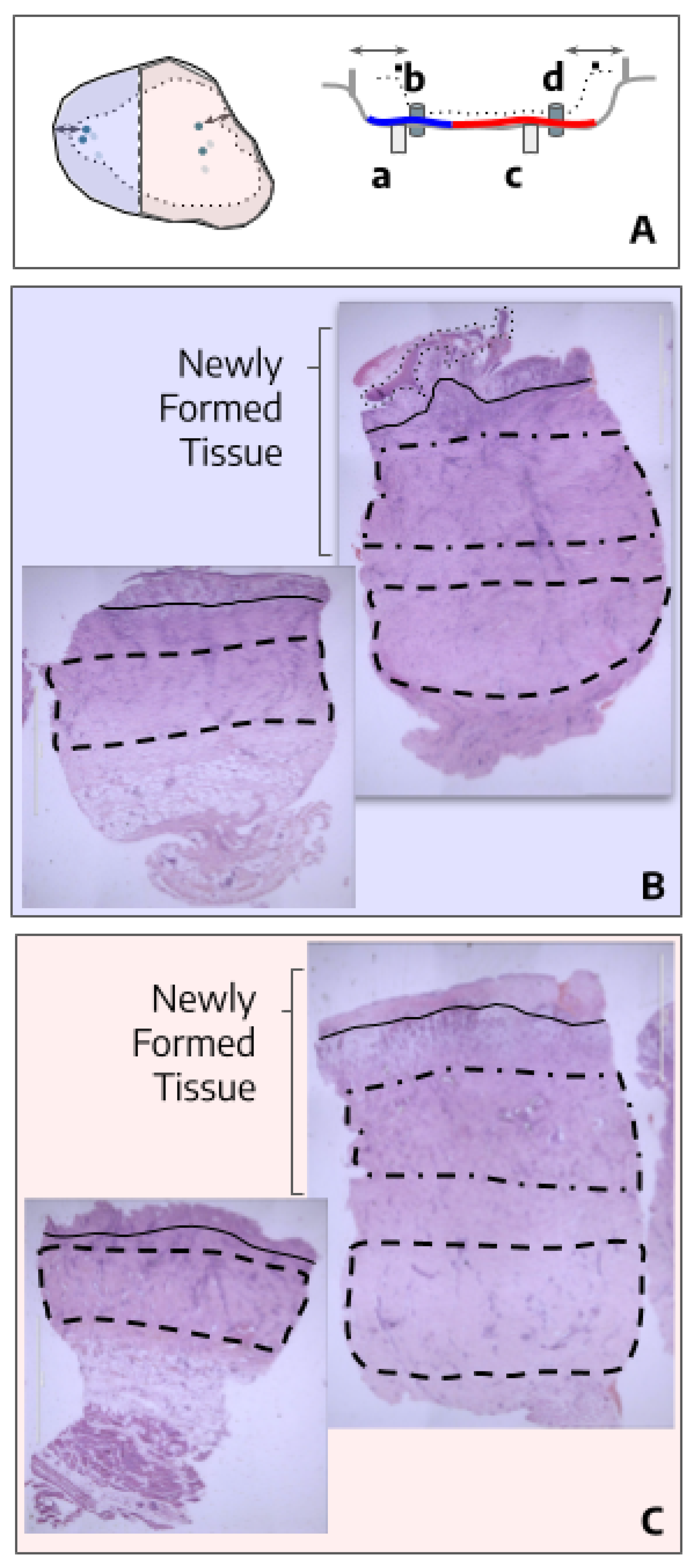Preprints 155649 g002