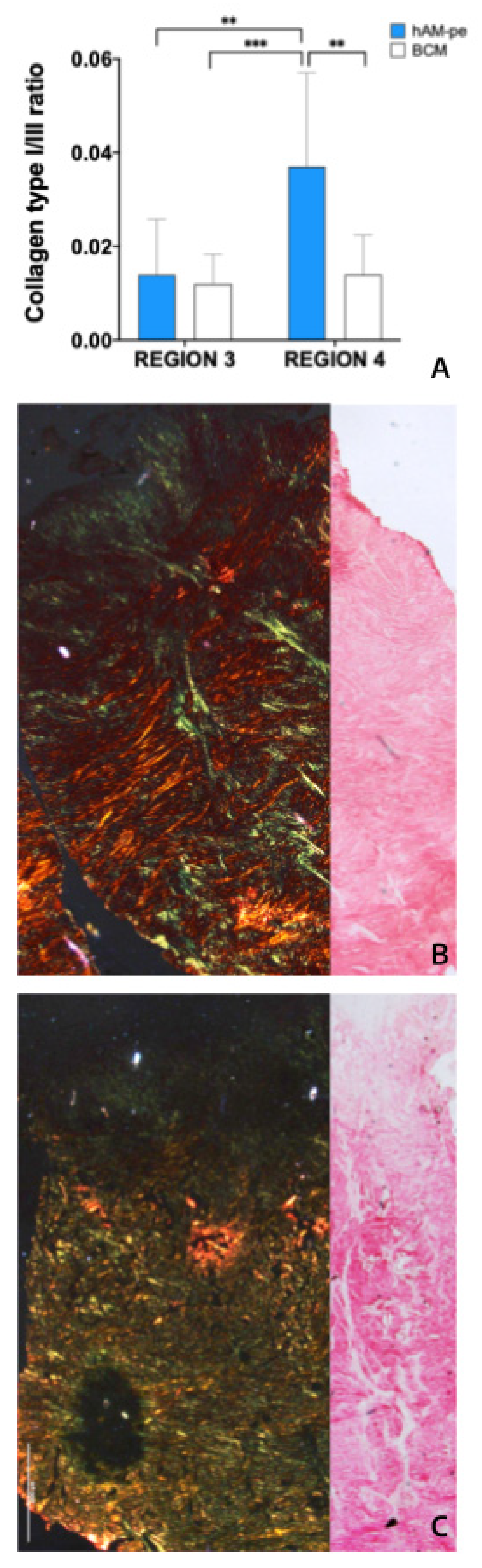 Preprints 155649 g004