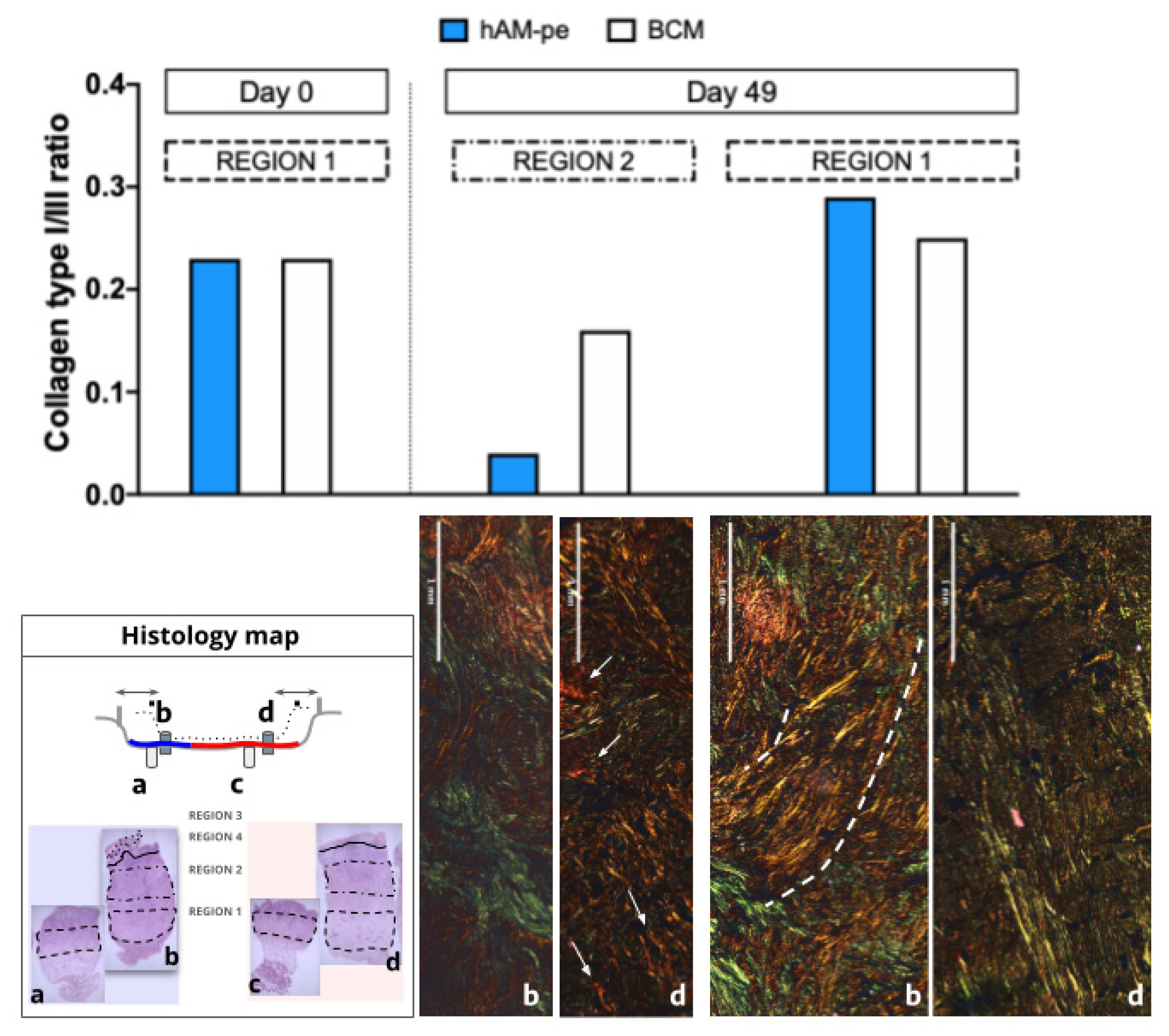 Preprints 155649 g005