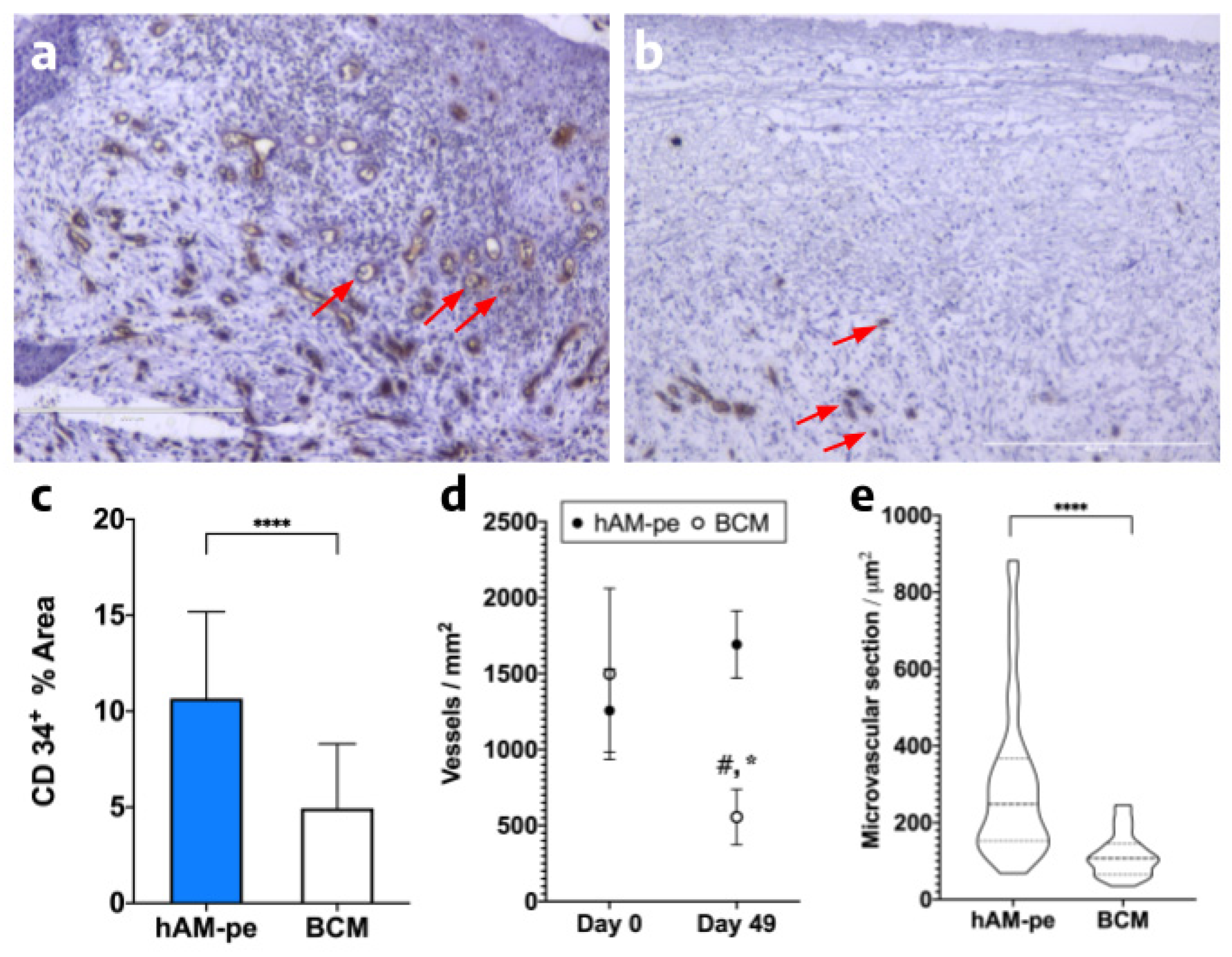 Preprints 155649 g006