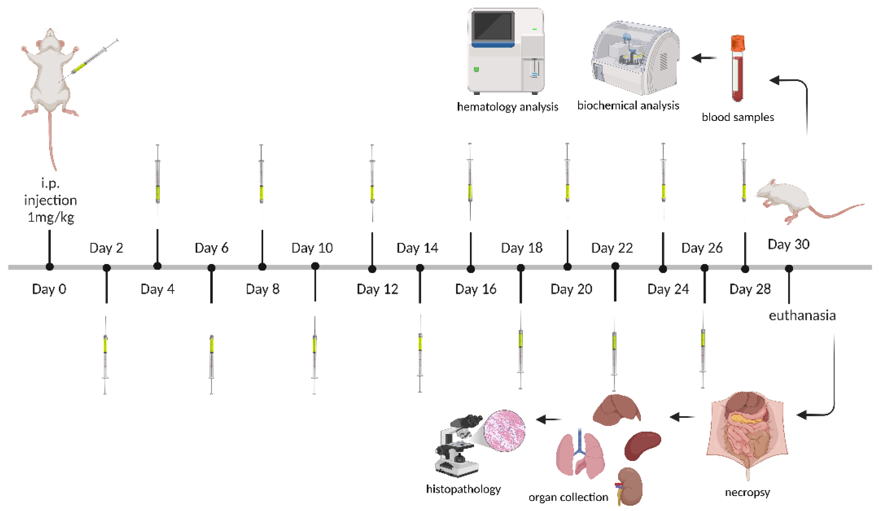 Preprints 155427 g001