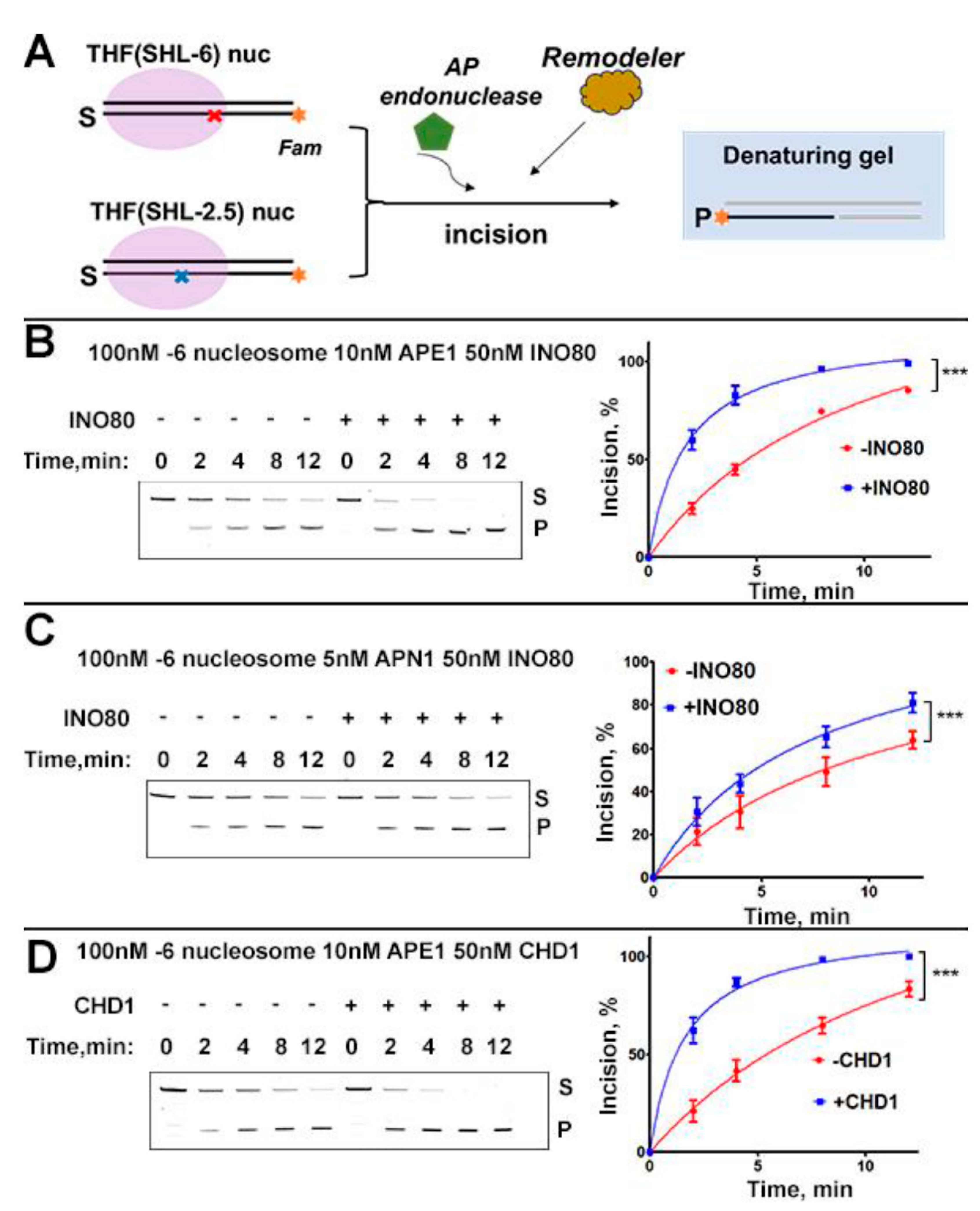 Preprints 196028 g001