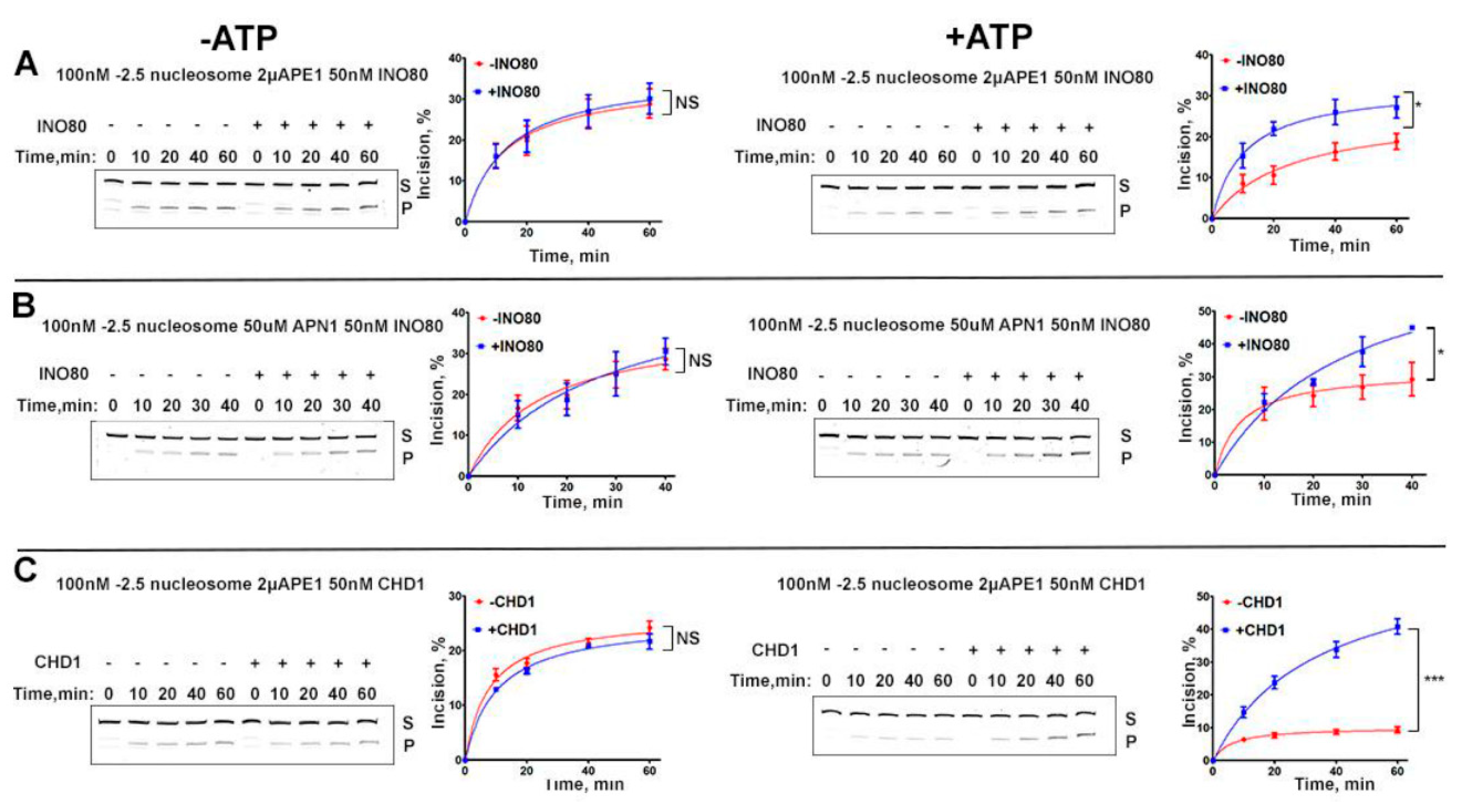 Preprints 196028 g002