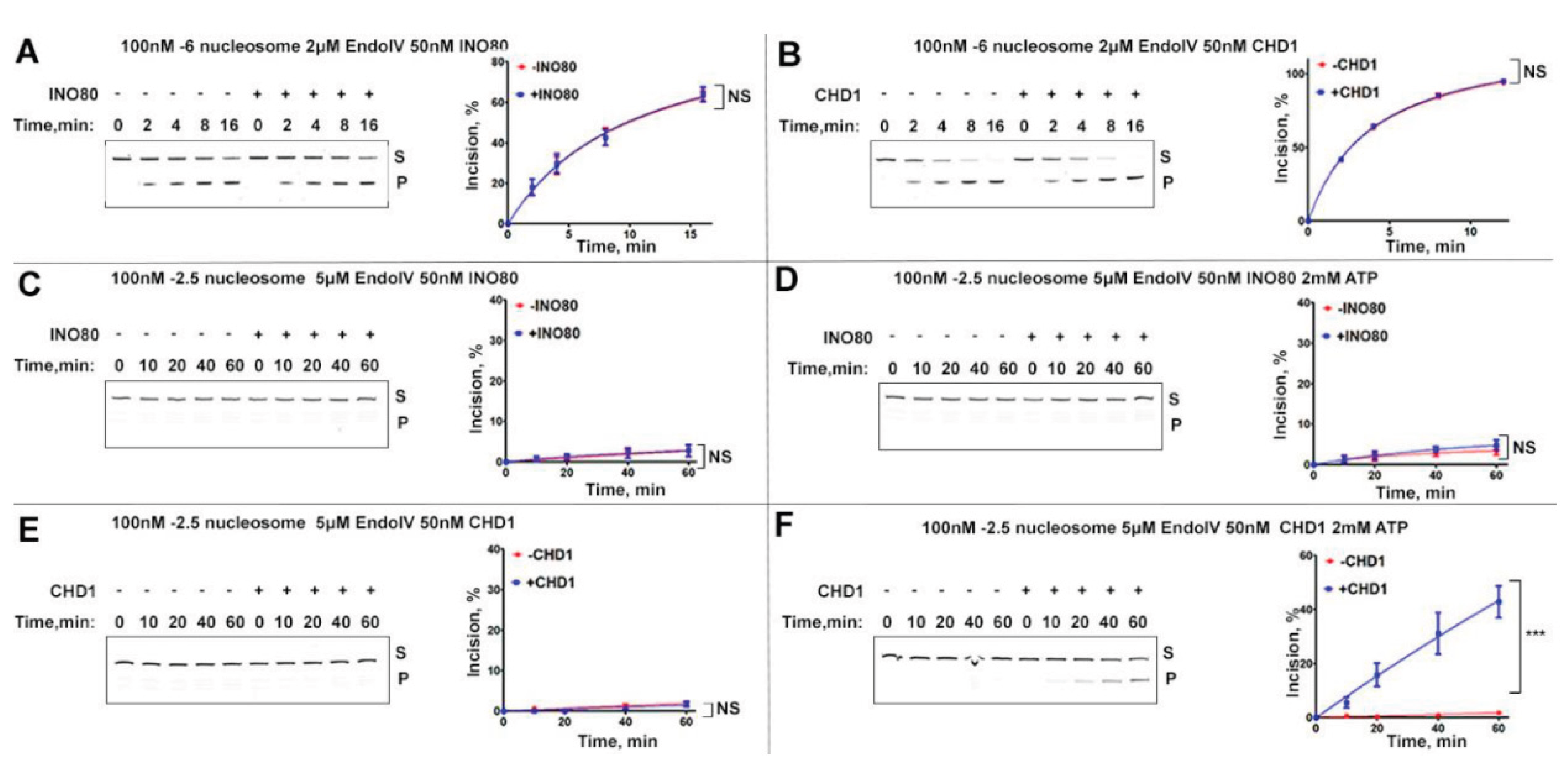 Preprints 196028 g003