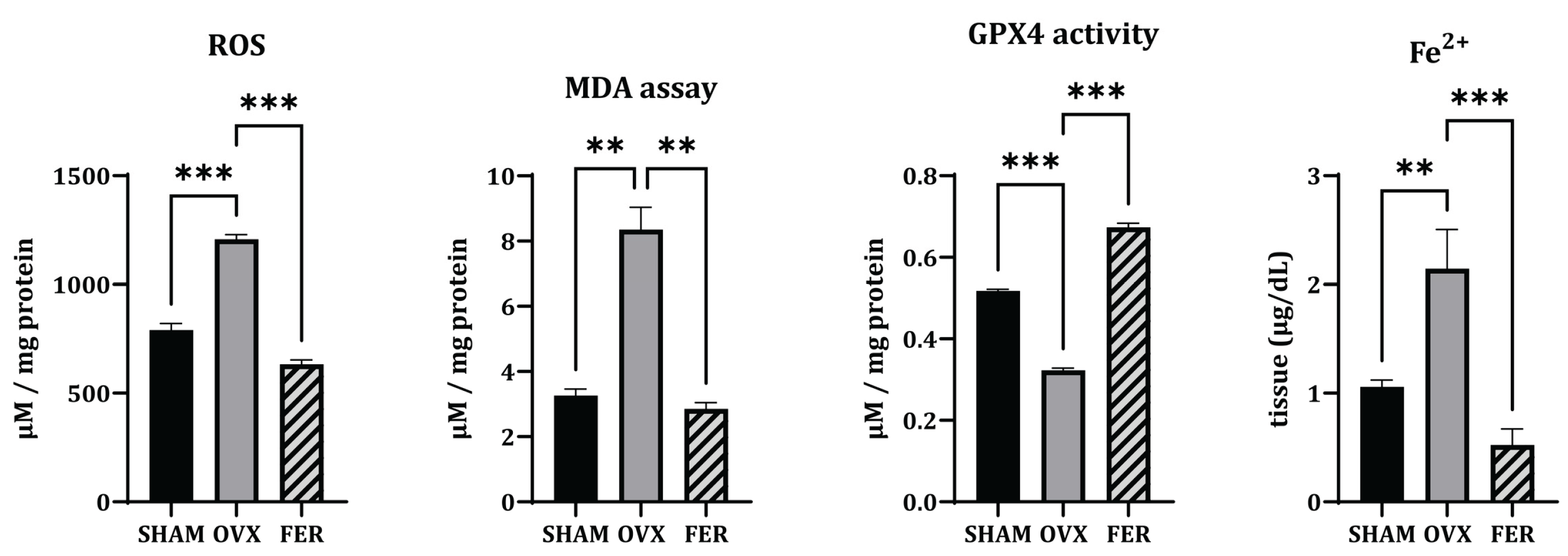 Preprints 165182 g003
