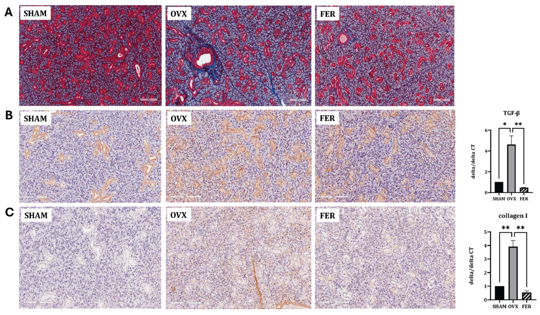 Preprints 165182 g004
