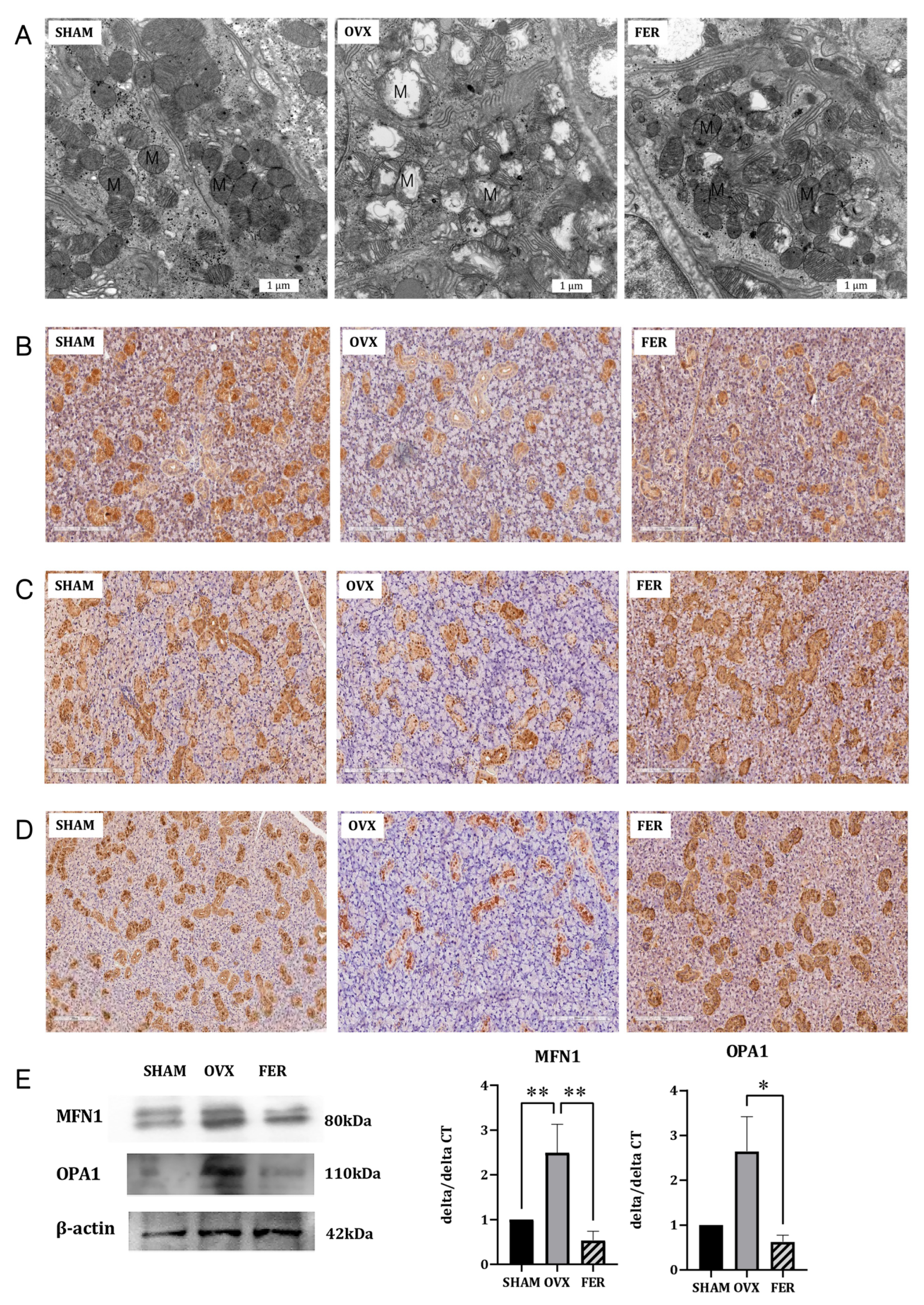 Preprints 165182 g006