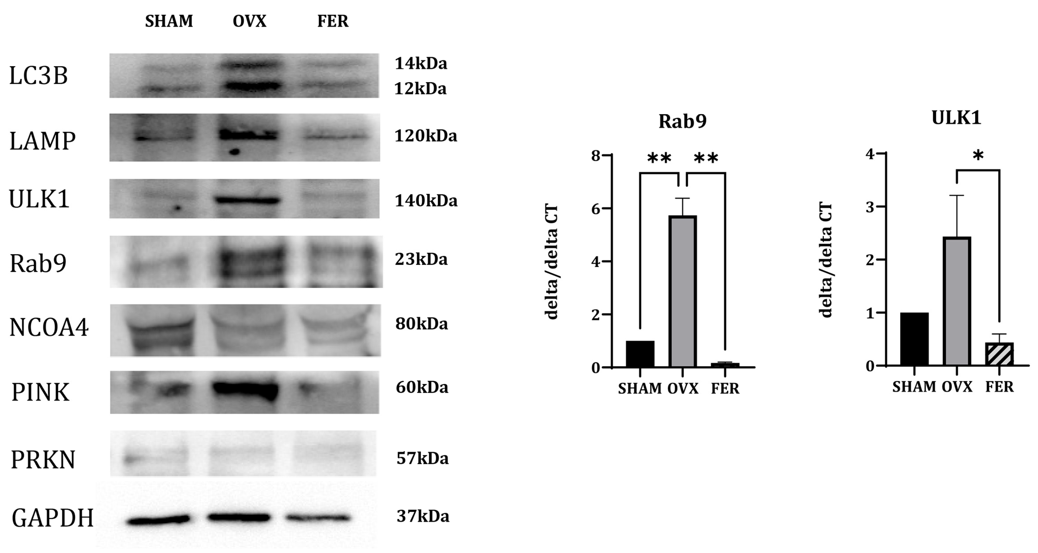 Preprints 165182 g007