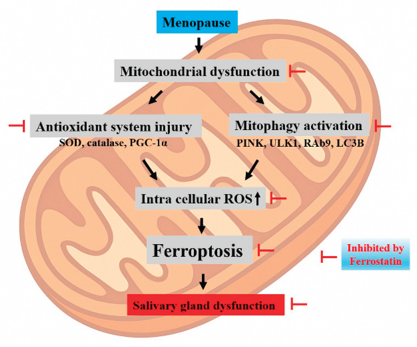 Preprints 165182 g008