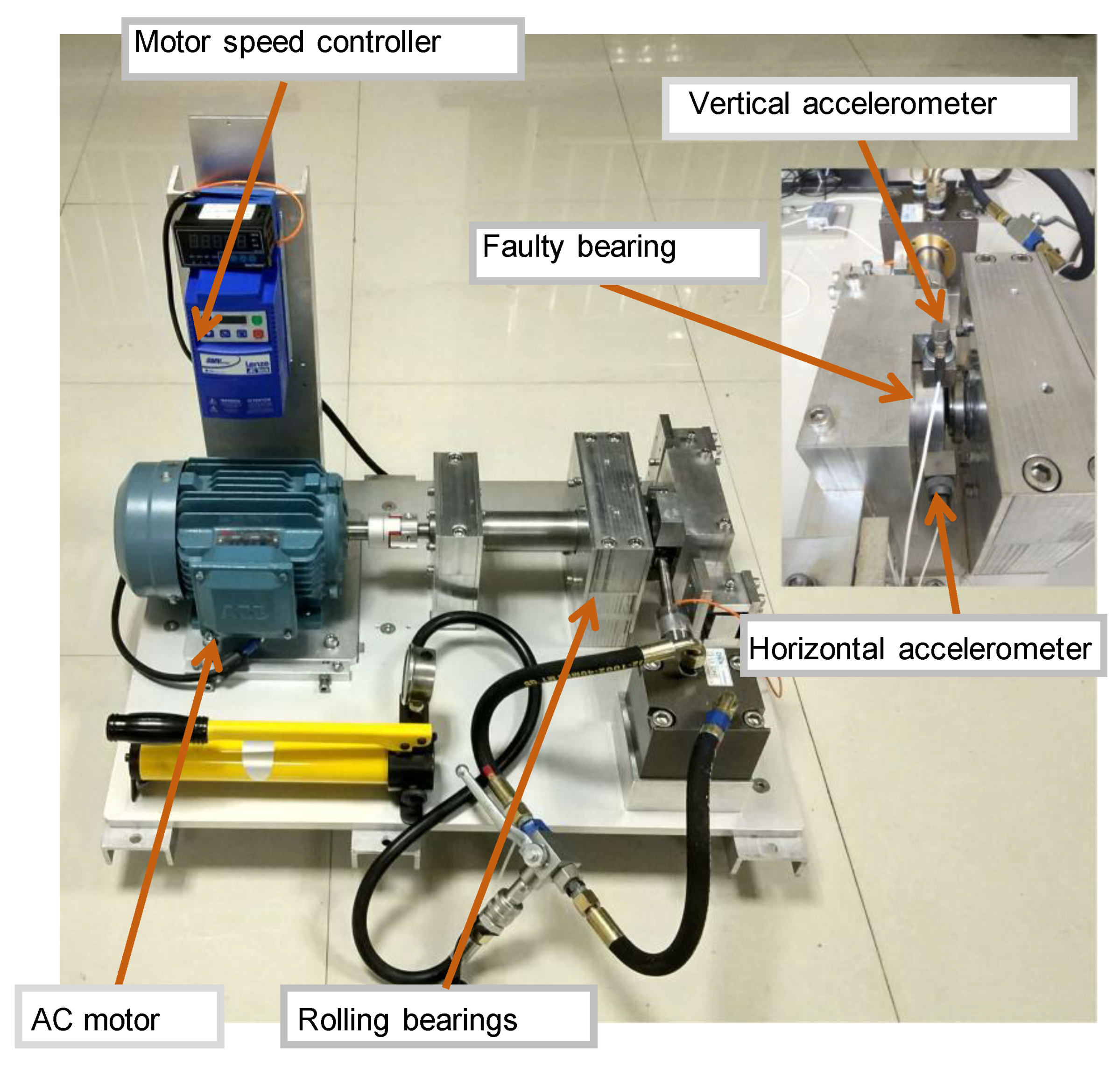 Preprints 141822 g005
