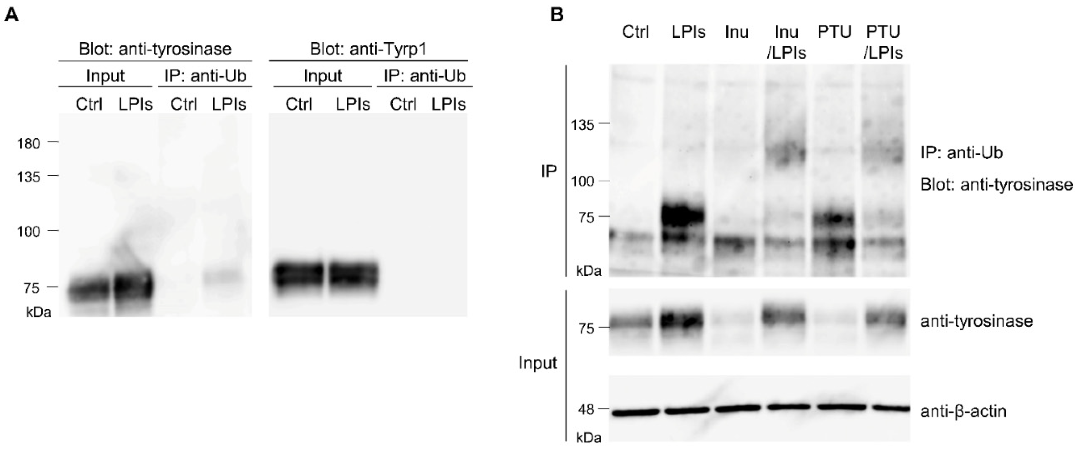 Preprints 92203 g001
