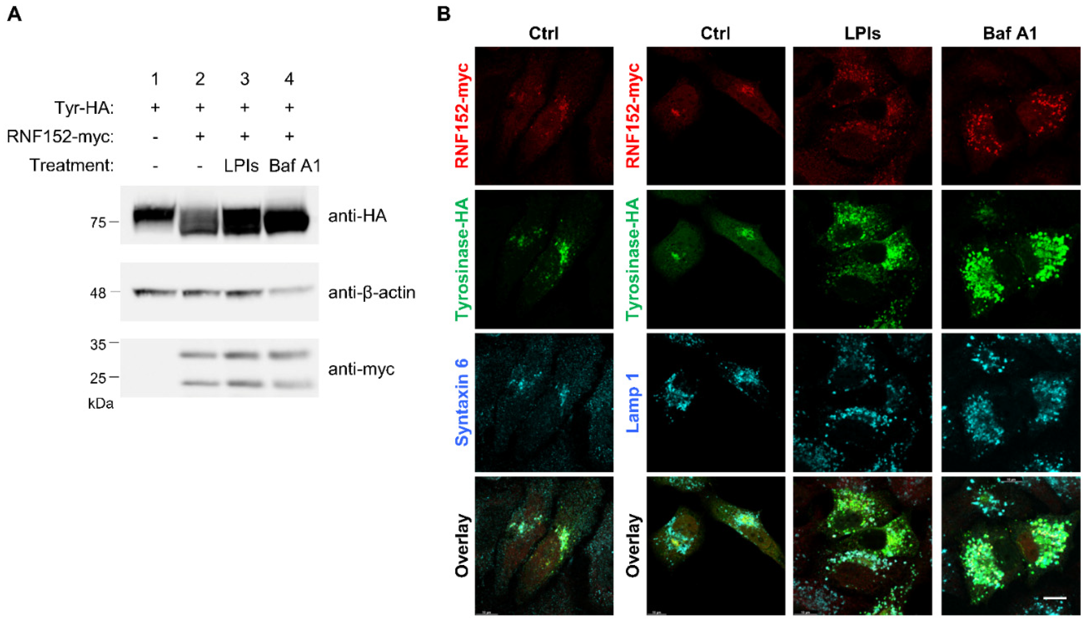Preprints 92203 g003