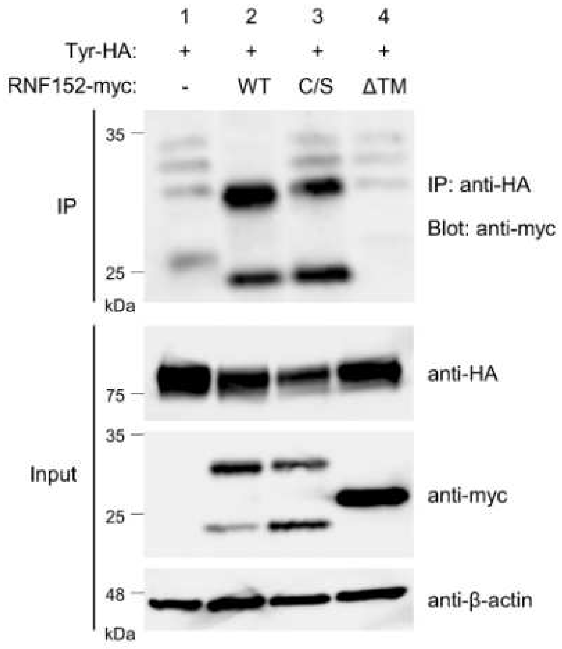 Preprints 92203 g004