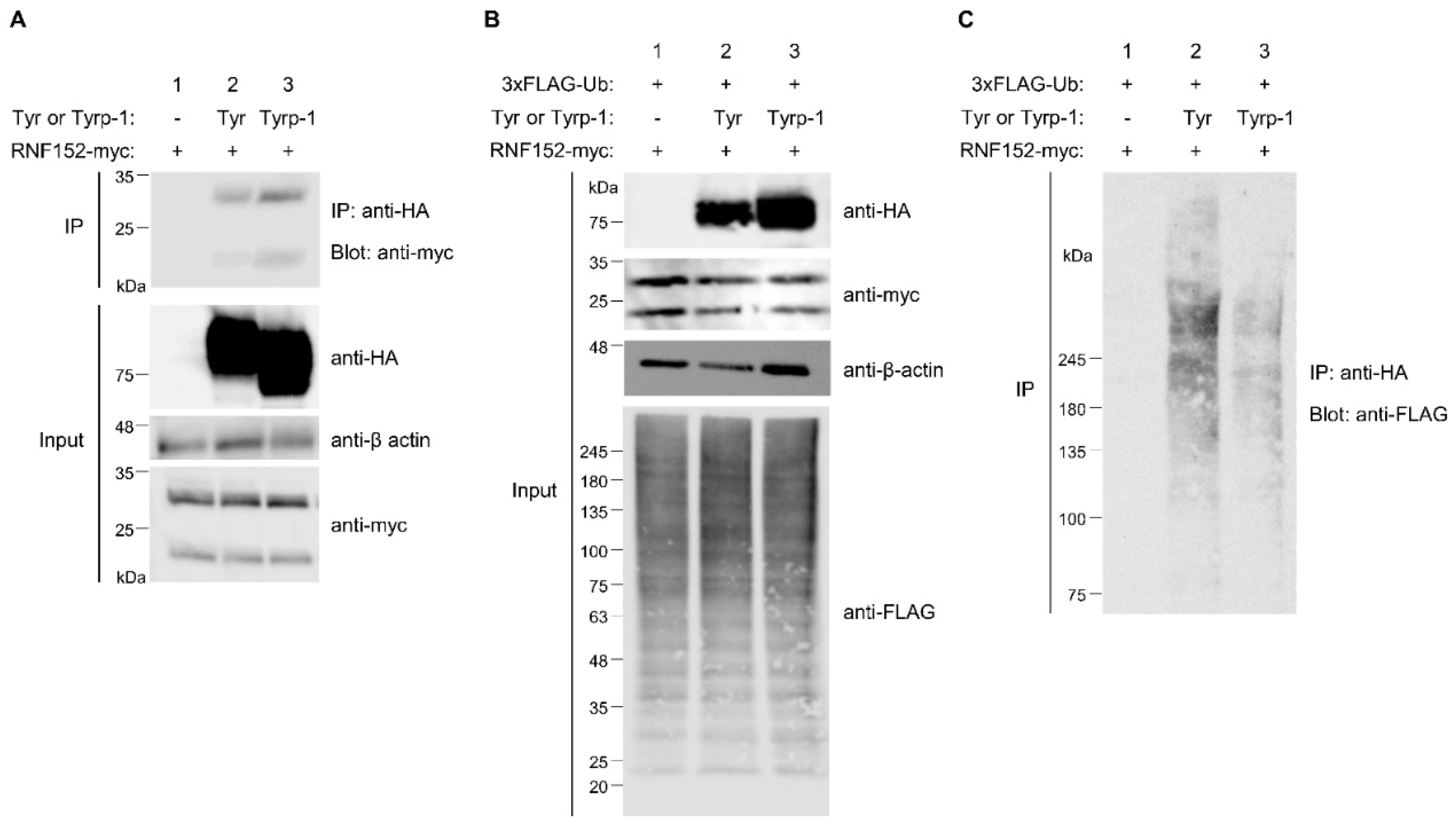 Preprints 92203 g006
