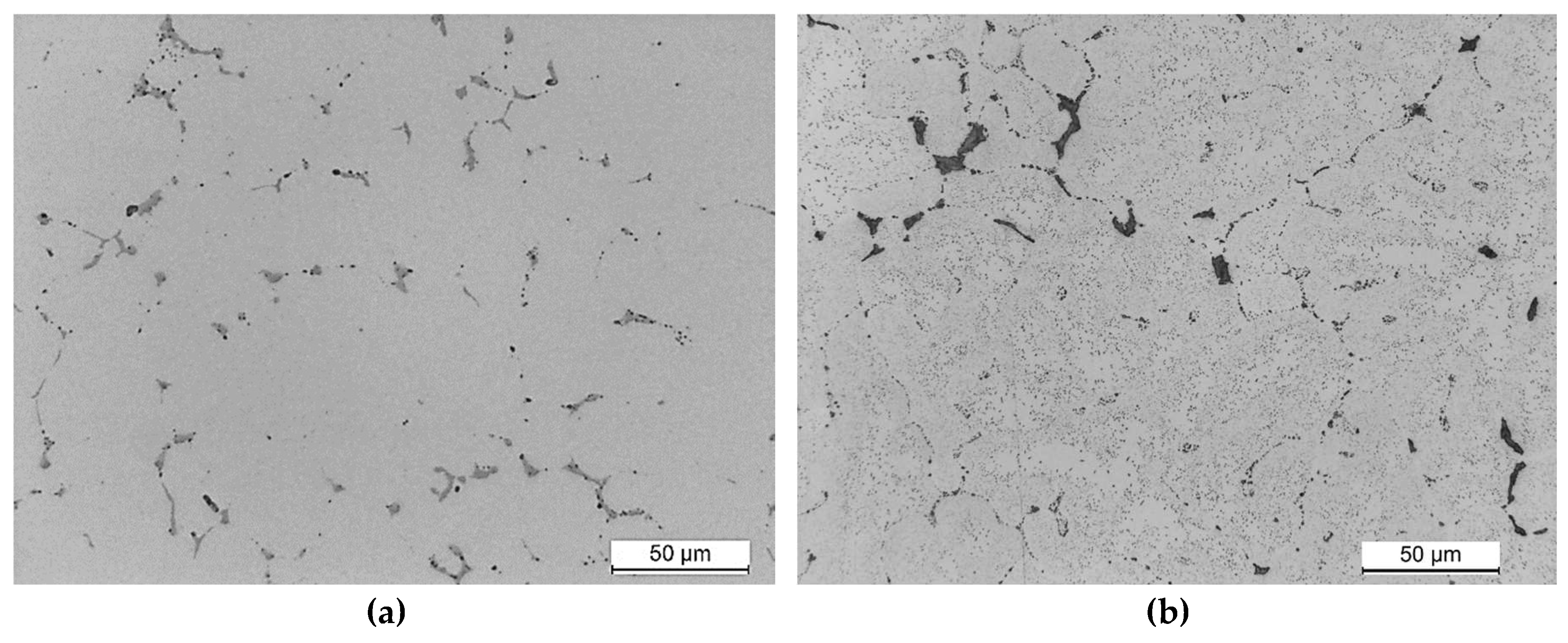 Preprints 148376 g003