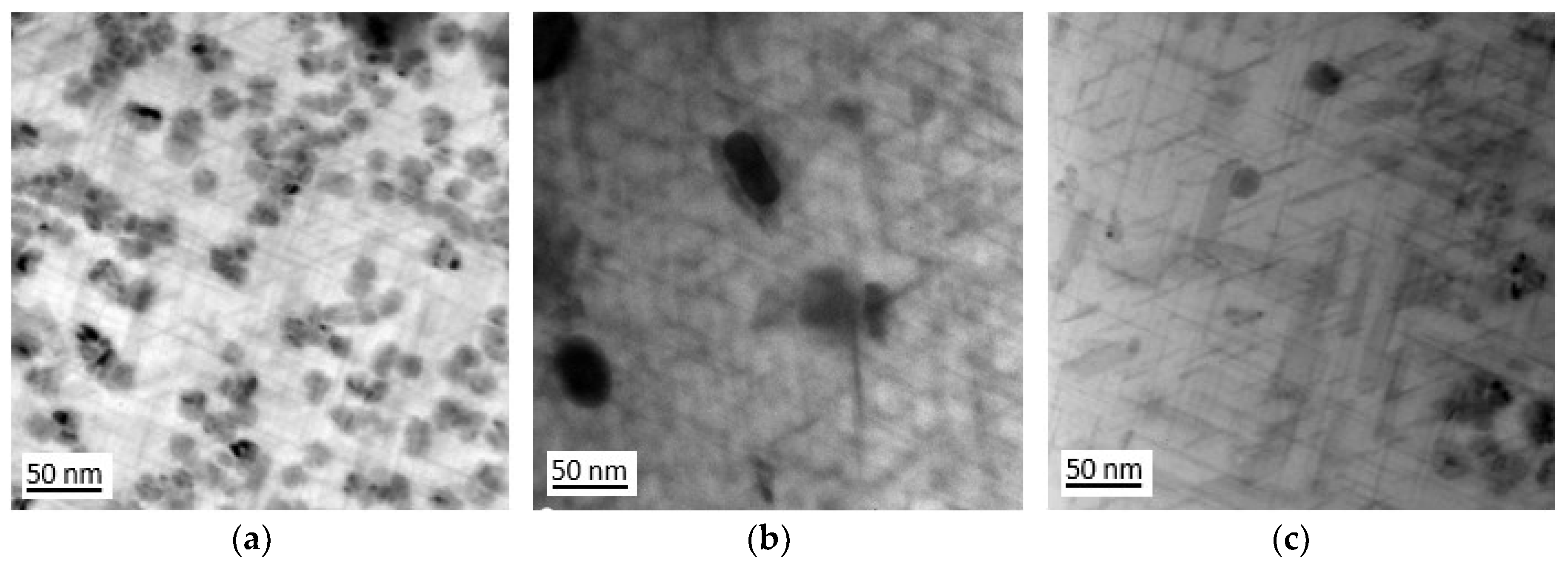 Preprints 148376 g004