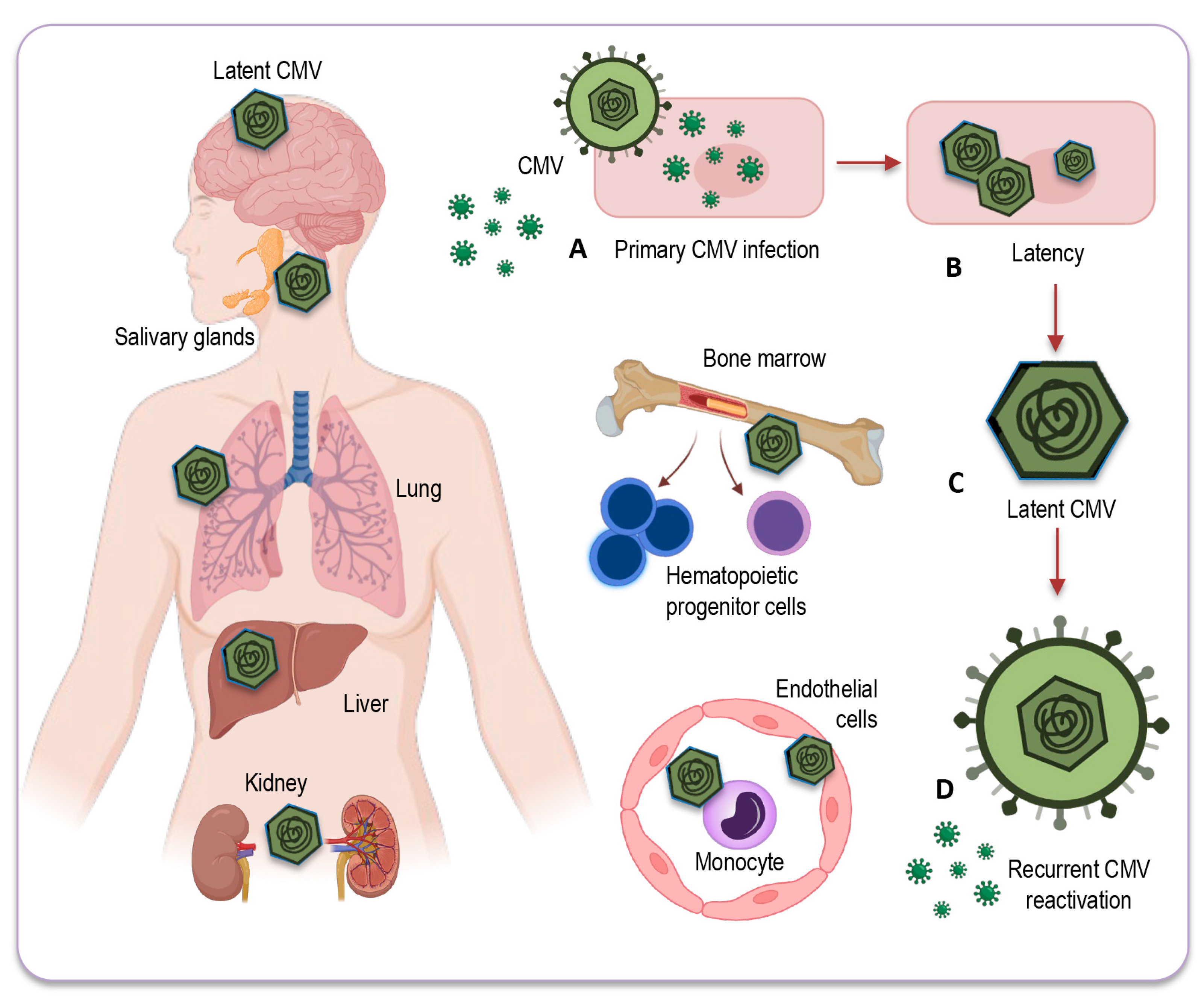 Preprints 90890 g002