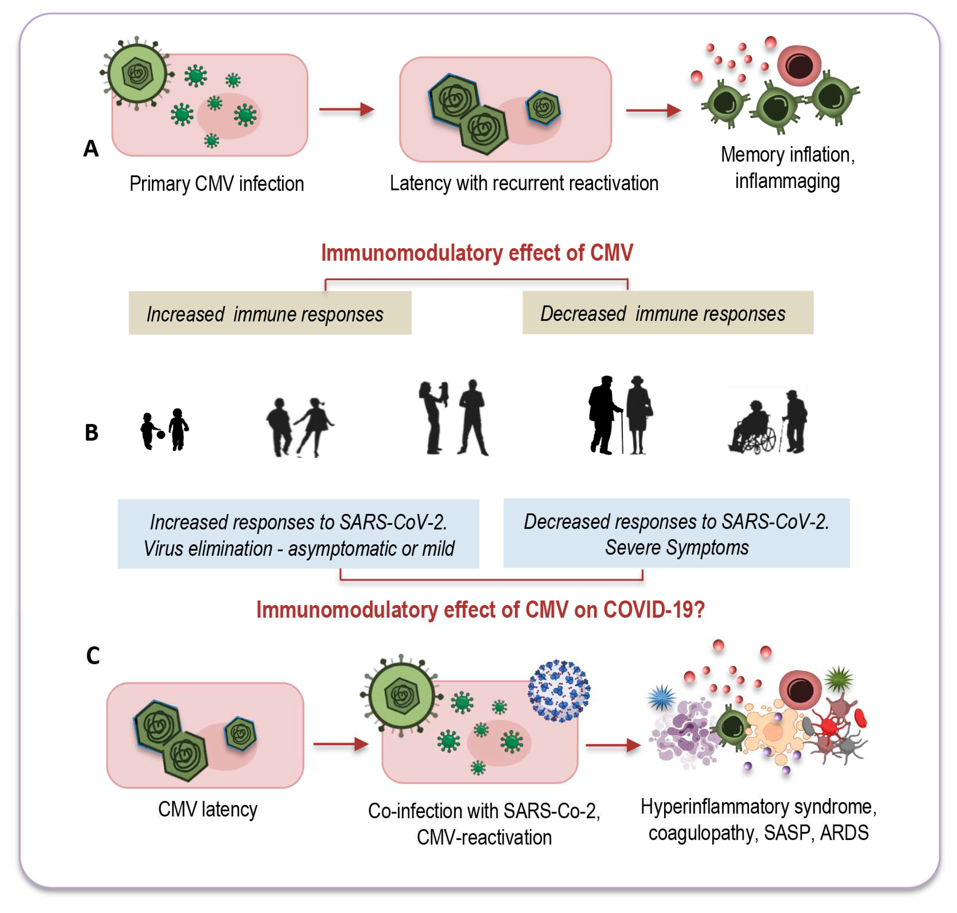Preprints 90890 g003