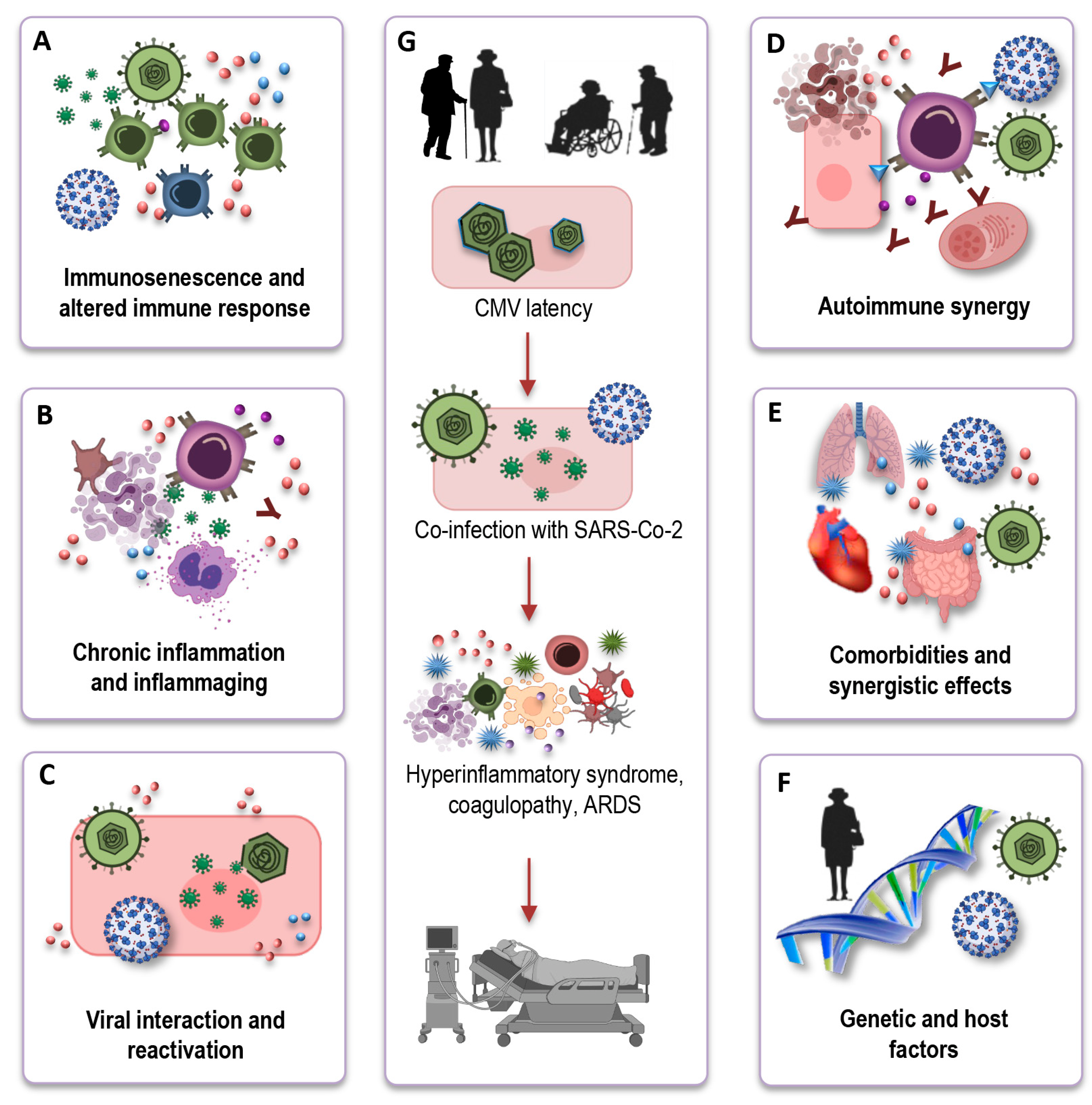 Preprints 90890 g004