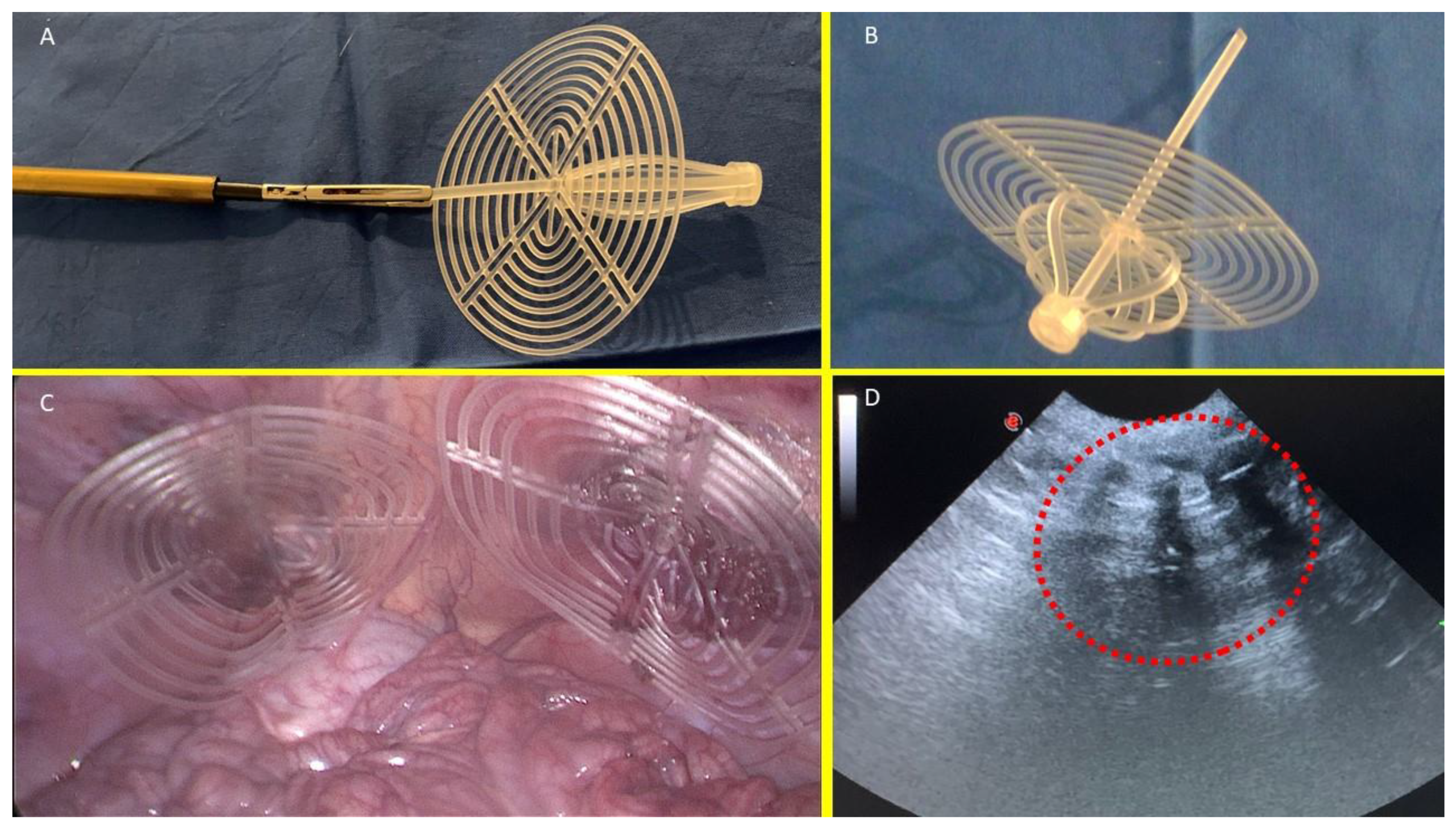 Preprints 144369 g001