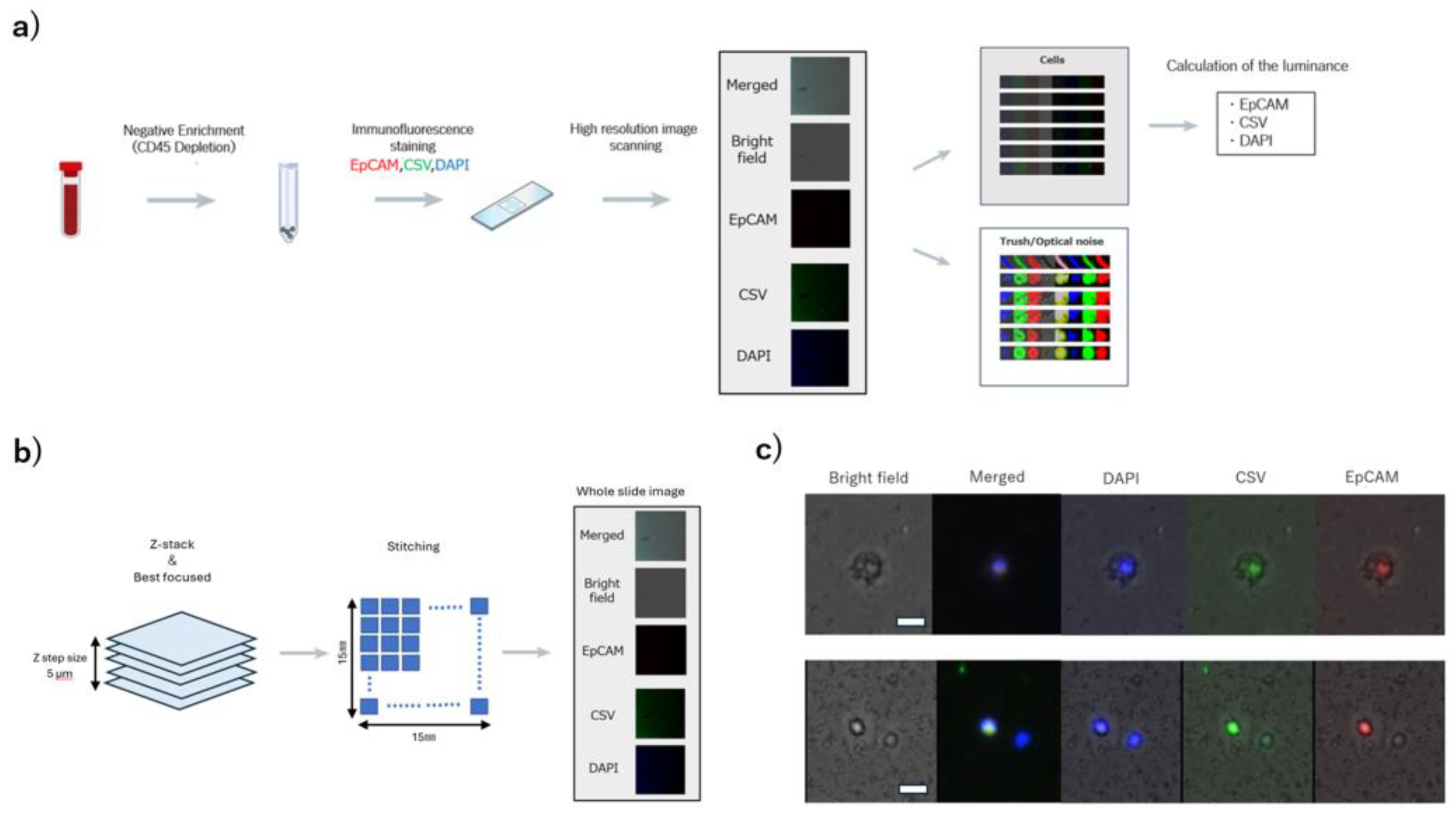 Preprints 179658 g001
