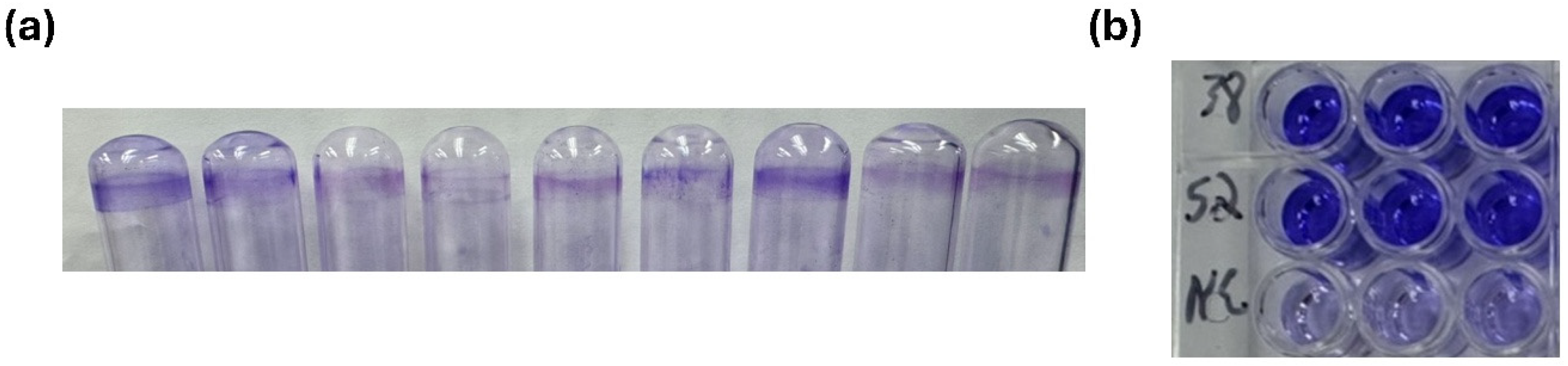 Preprints 199293 g004