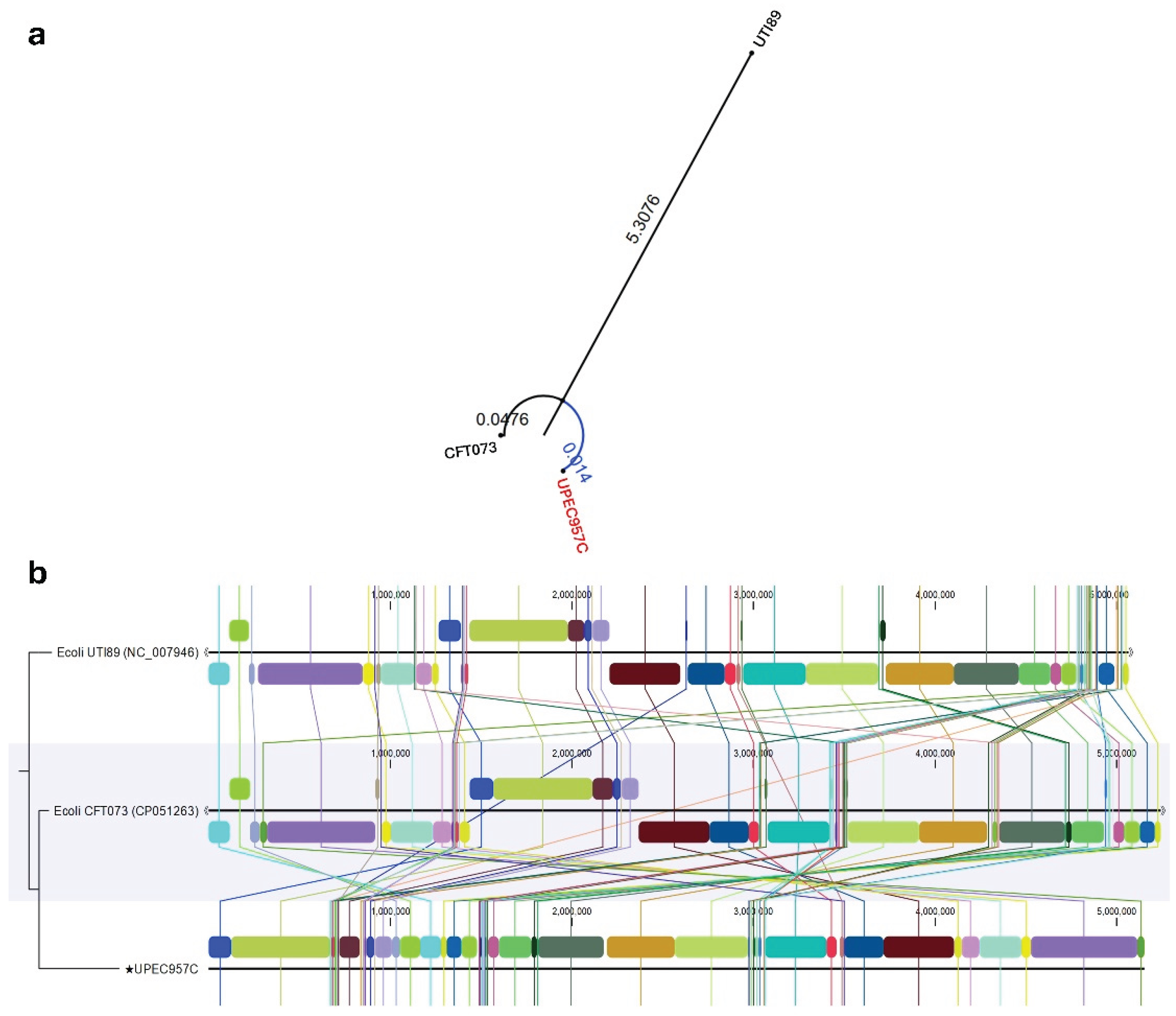 Preprints 199293 g006