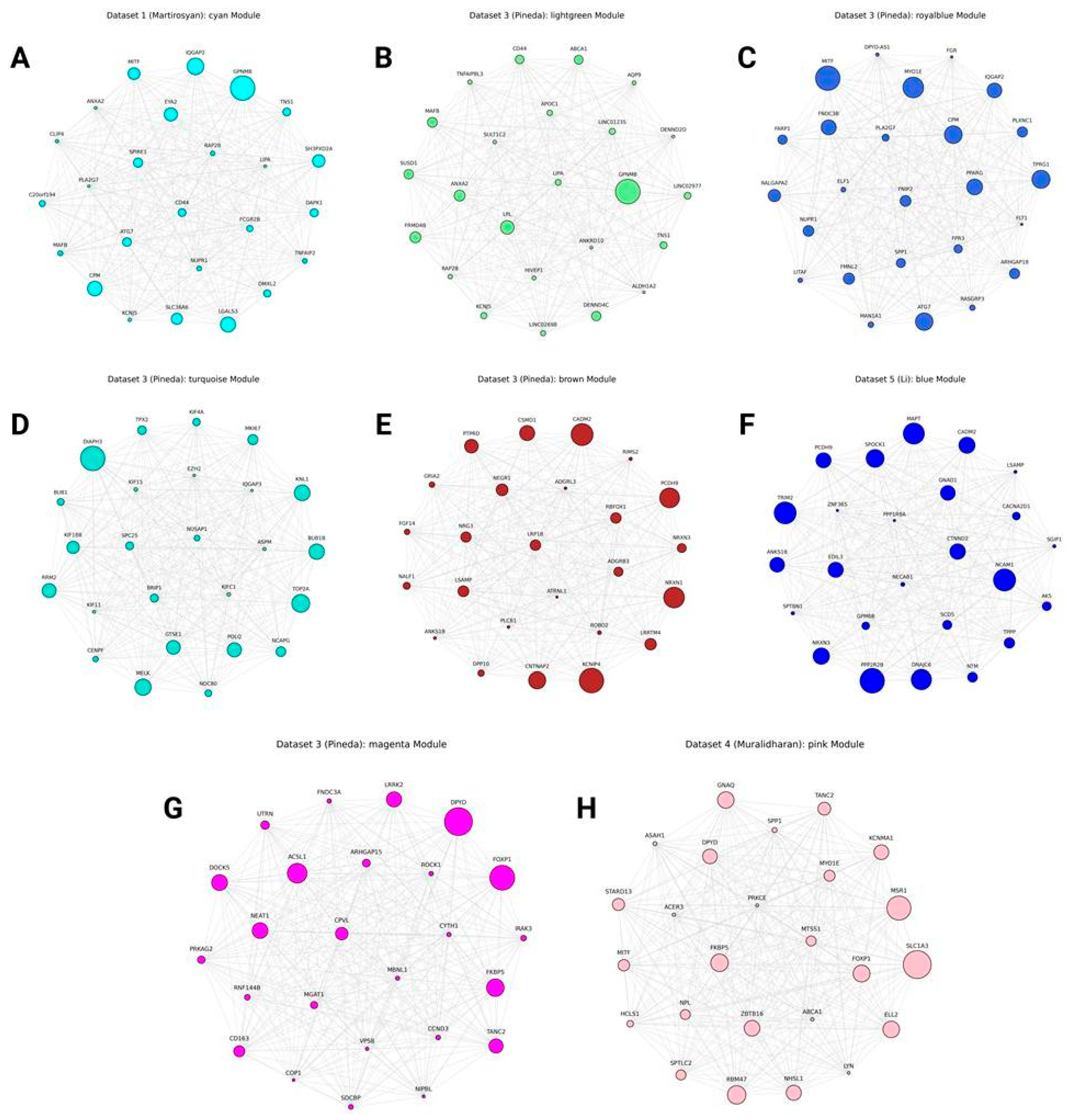 Preprints 185854 g011