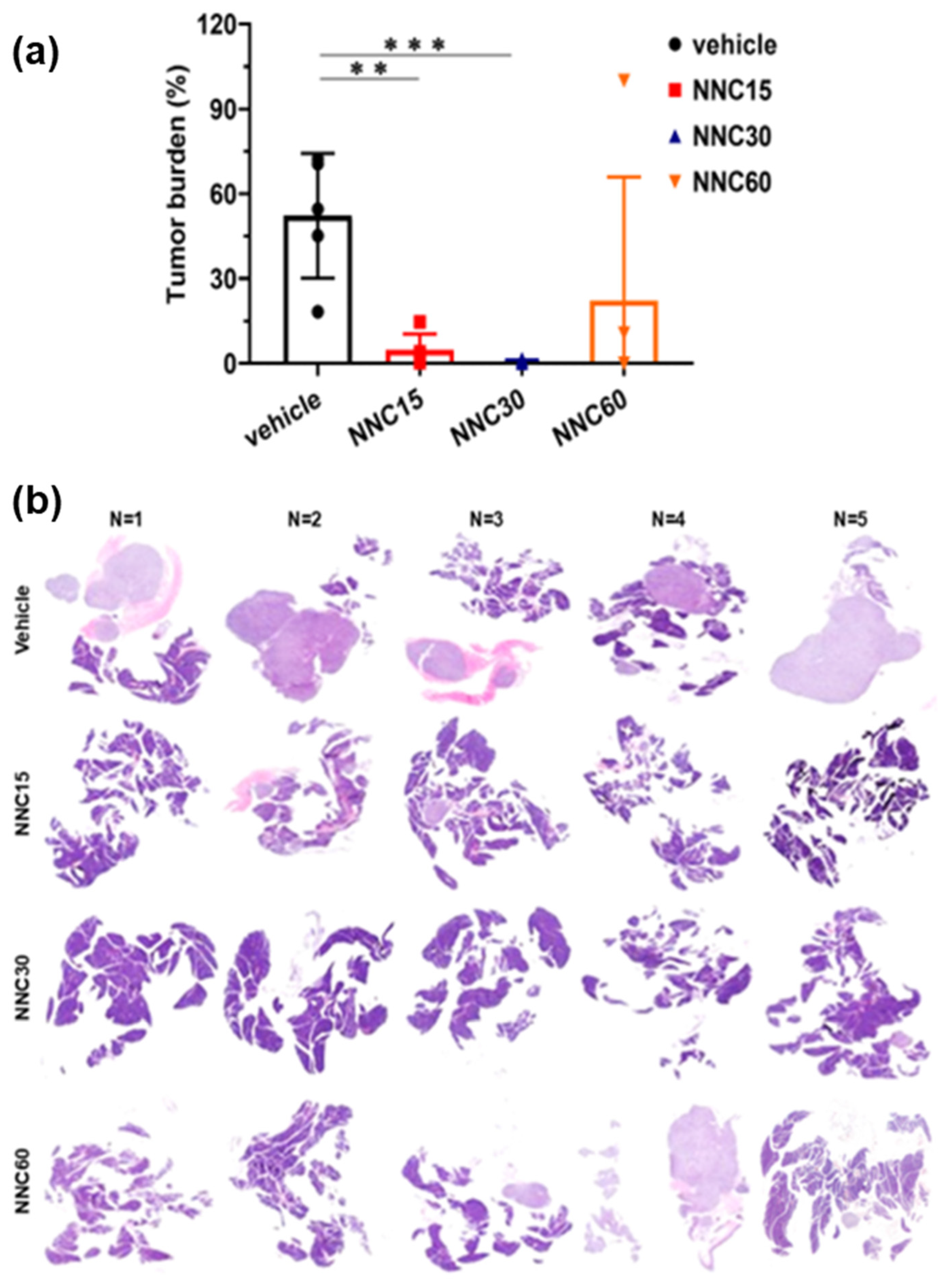 Preprints 212019 g004