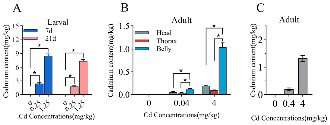 Preprints 218004 g002 Preprints 218004 g002