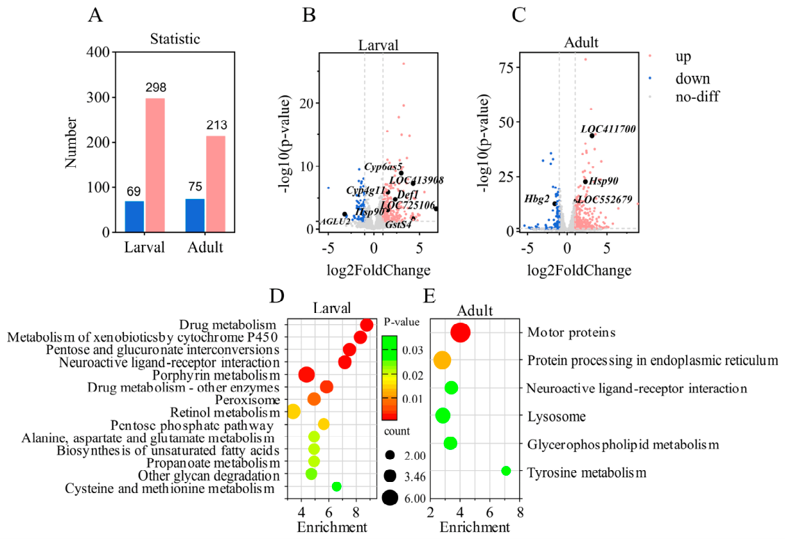 Preprints 218004 g005 Preprints 218004 g005
