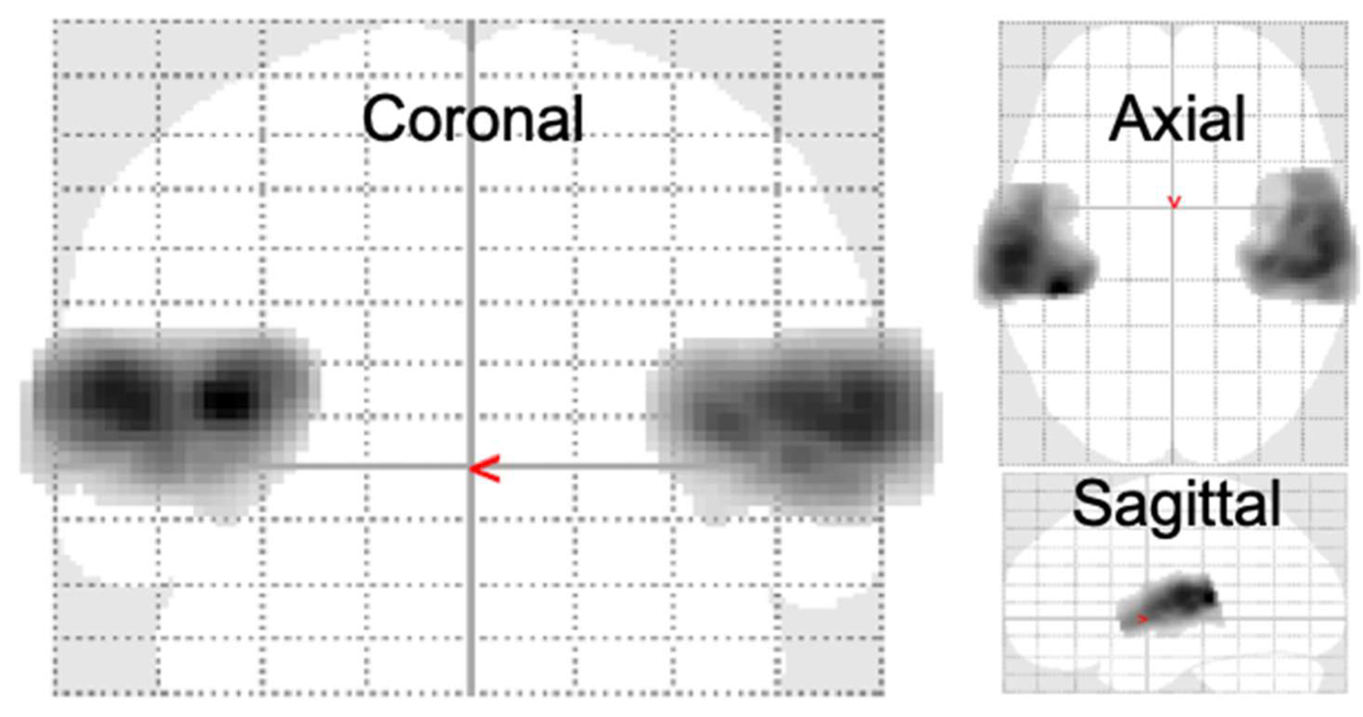 Preprints 104112 g003