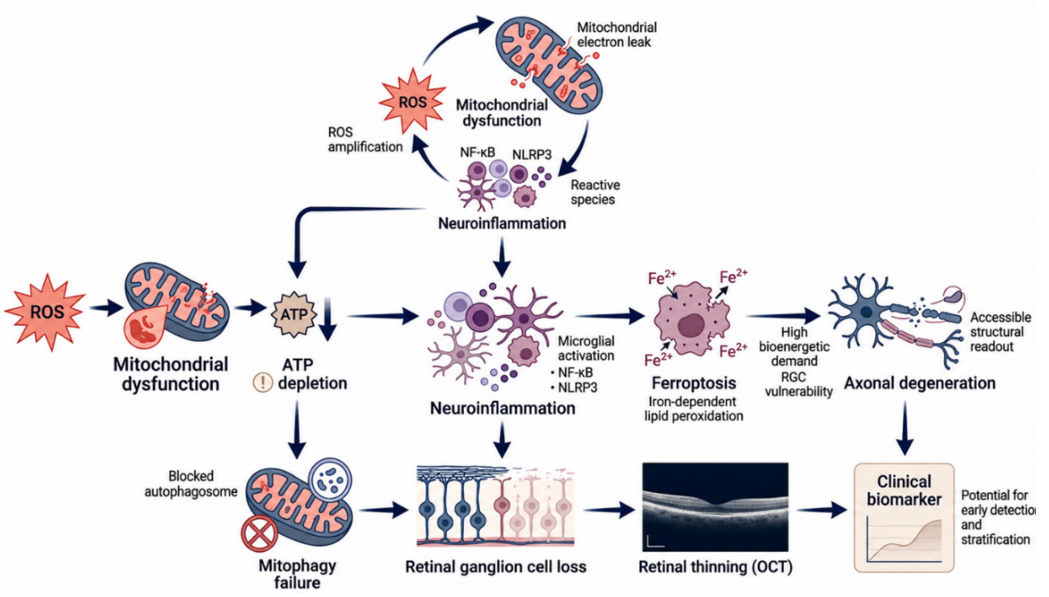 Preprints 220808 g003