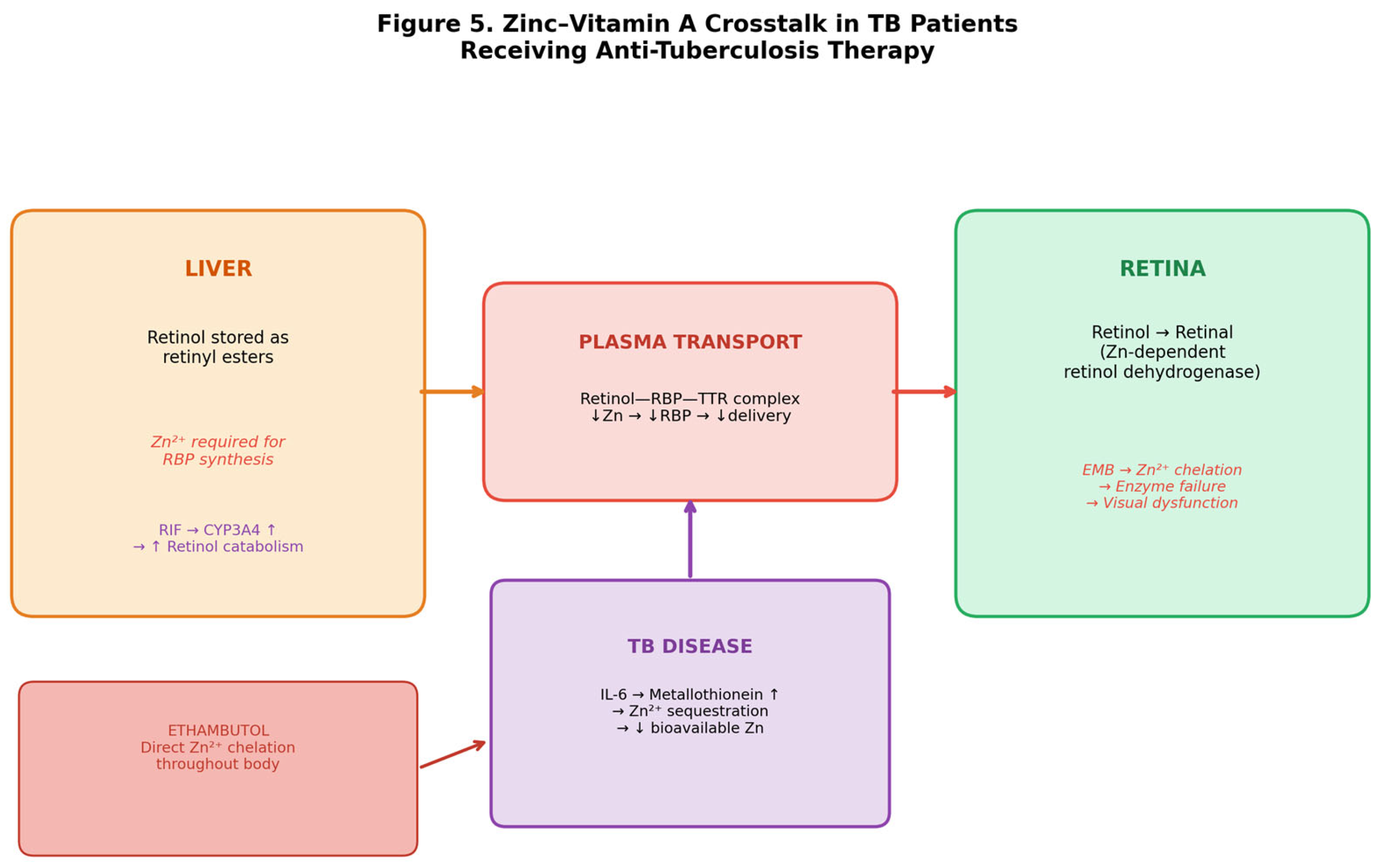 Preprints 209291 g005