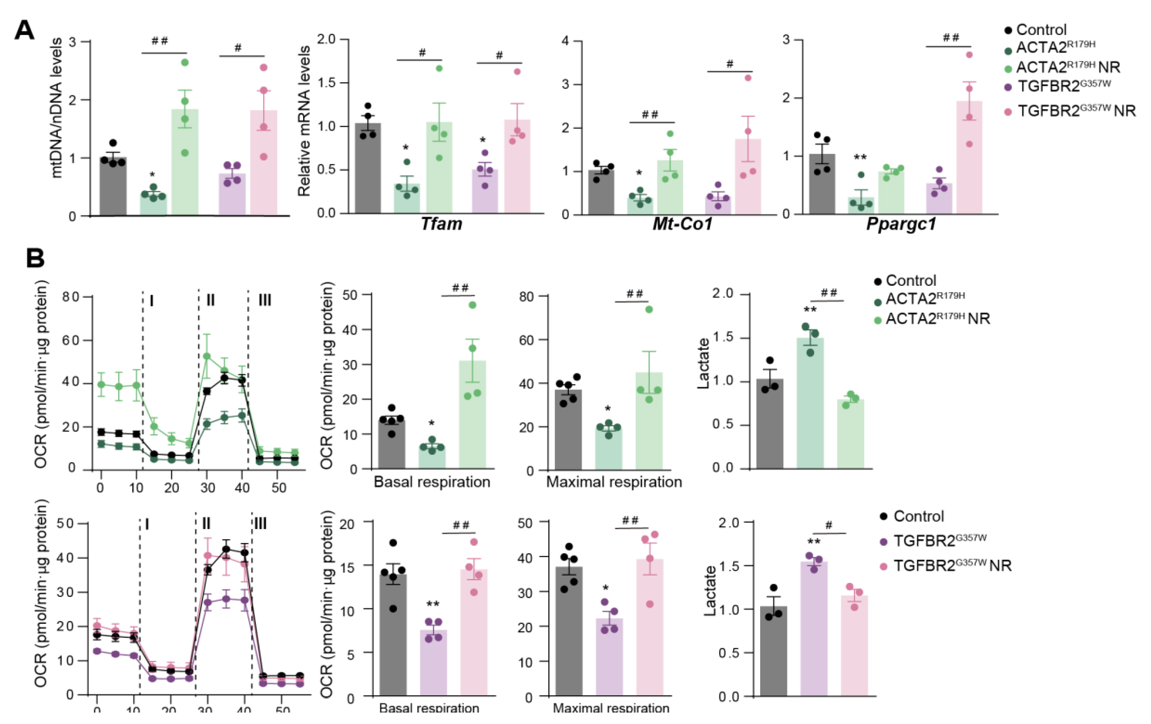 Preprints 154550 g001