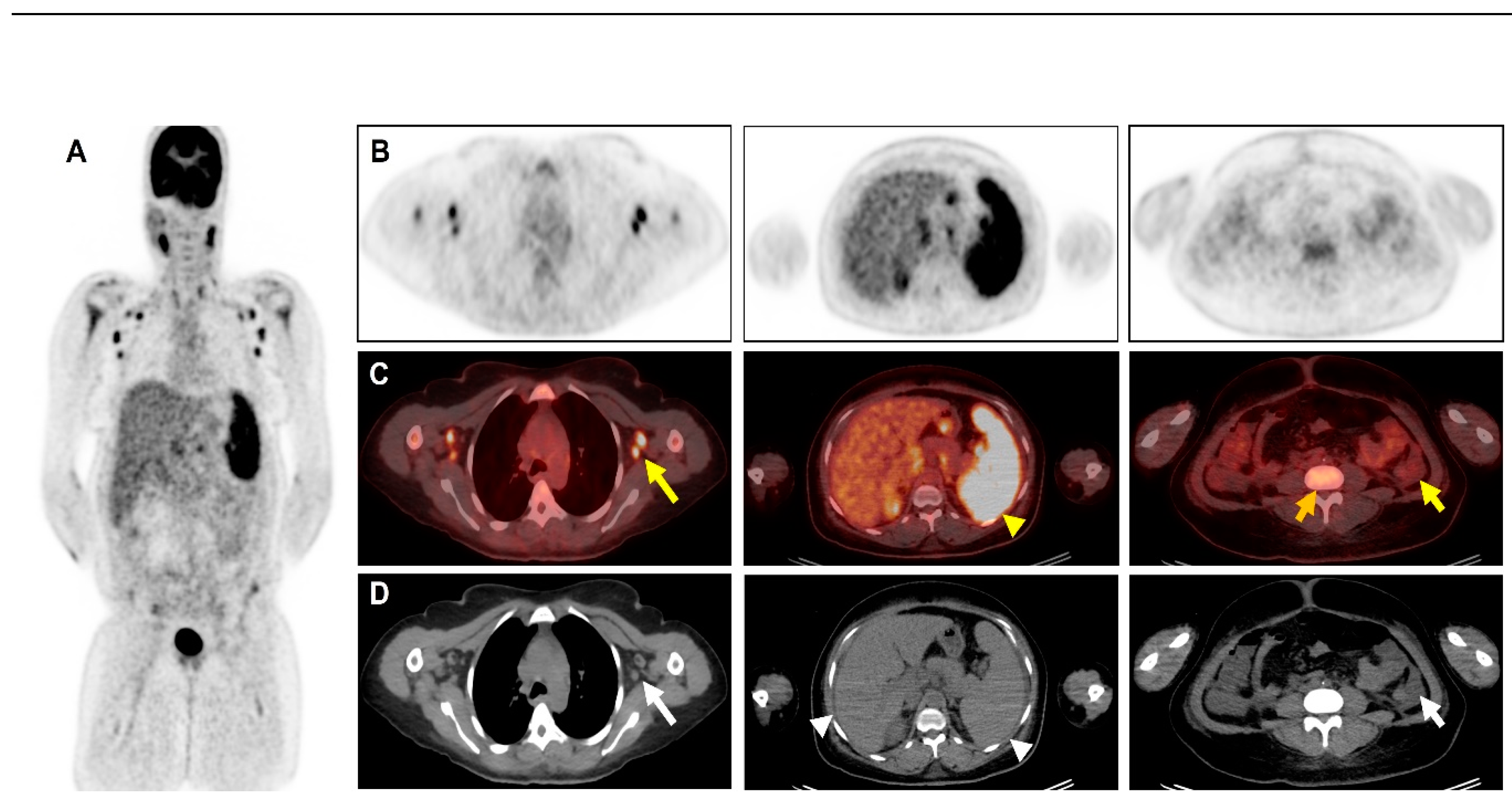 Preprints 104562 g001