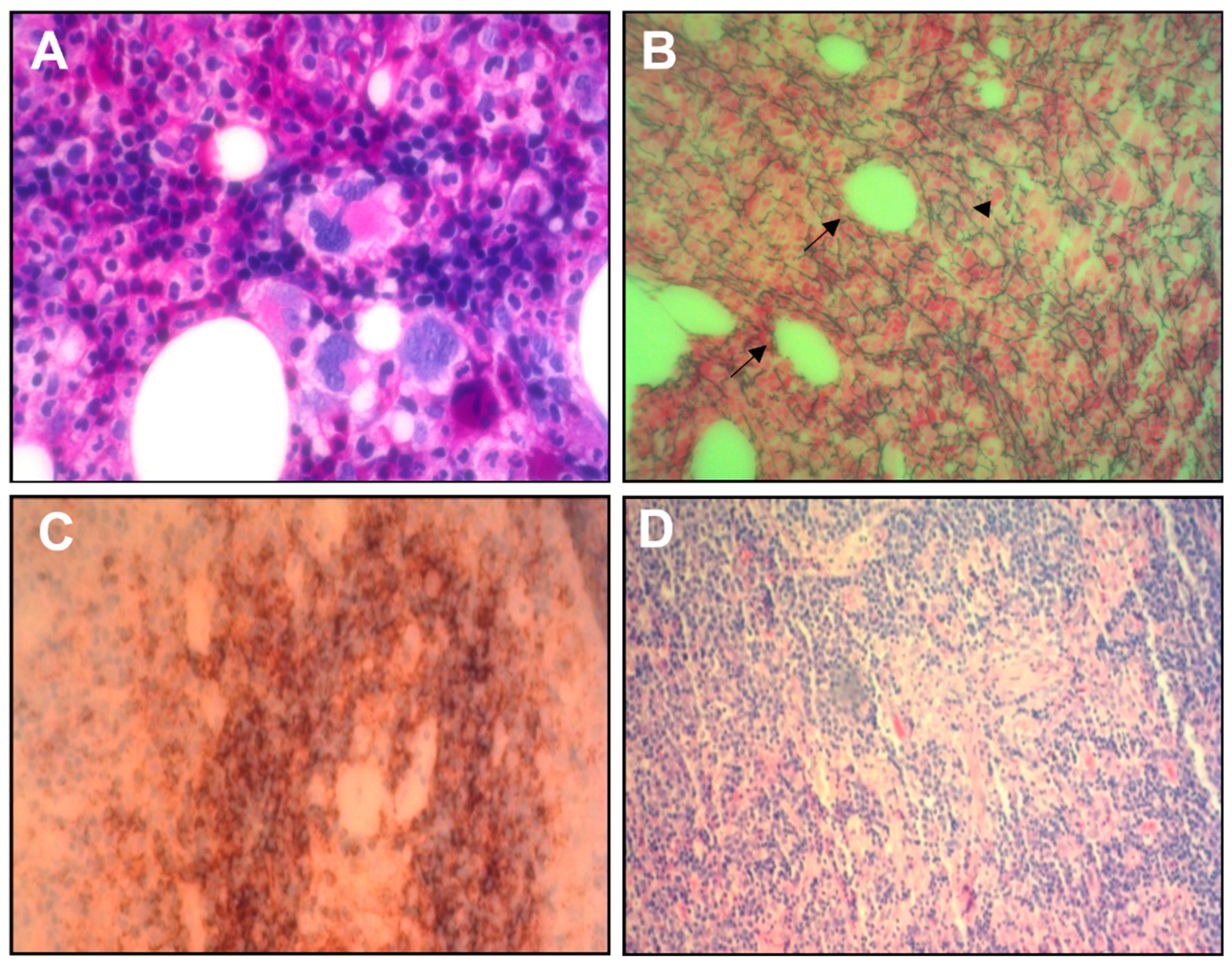 Preprints 104562 g002
