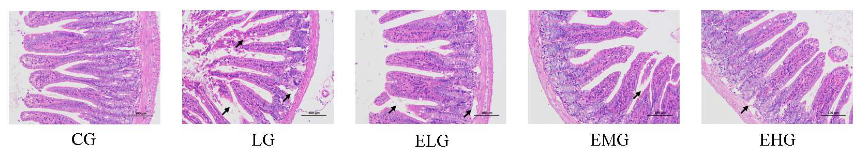 Preprints 149615 g001